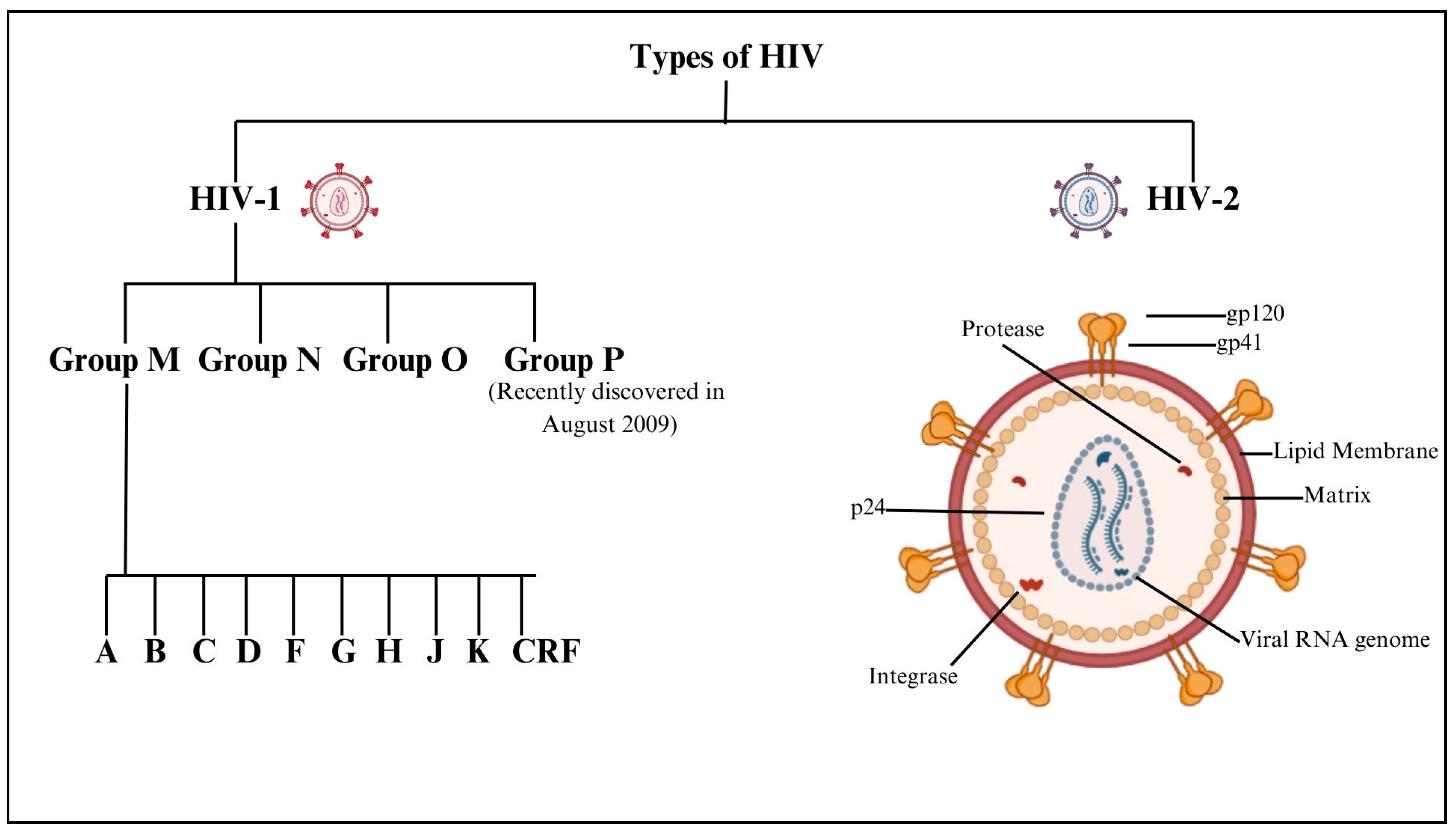 Neuroglia 06 00023 g001