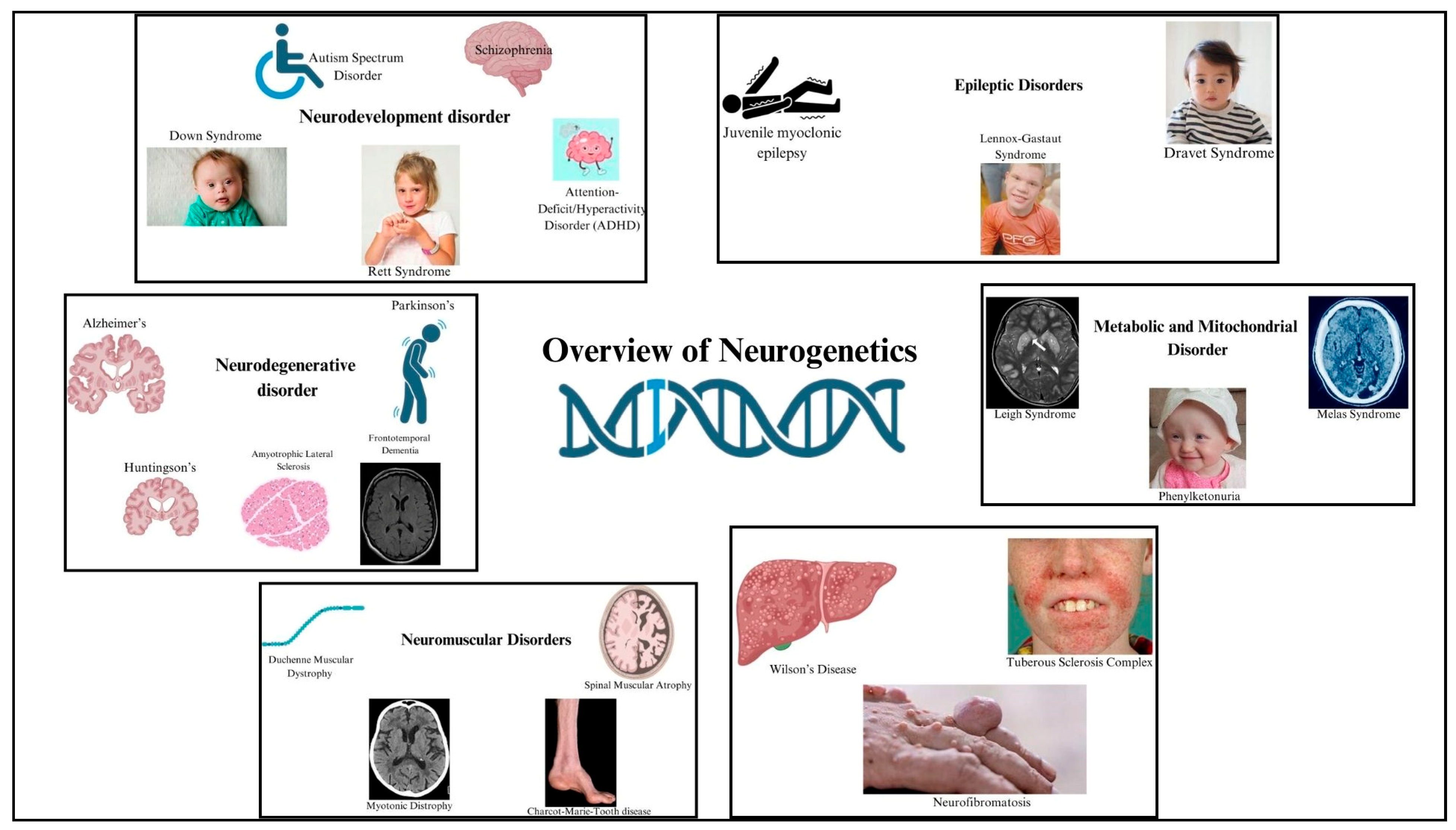 Neuroglia 06 00023 g002