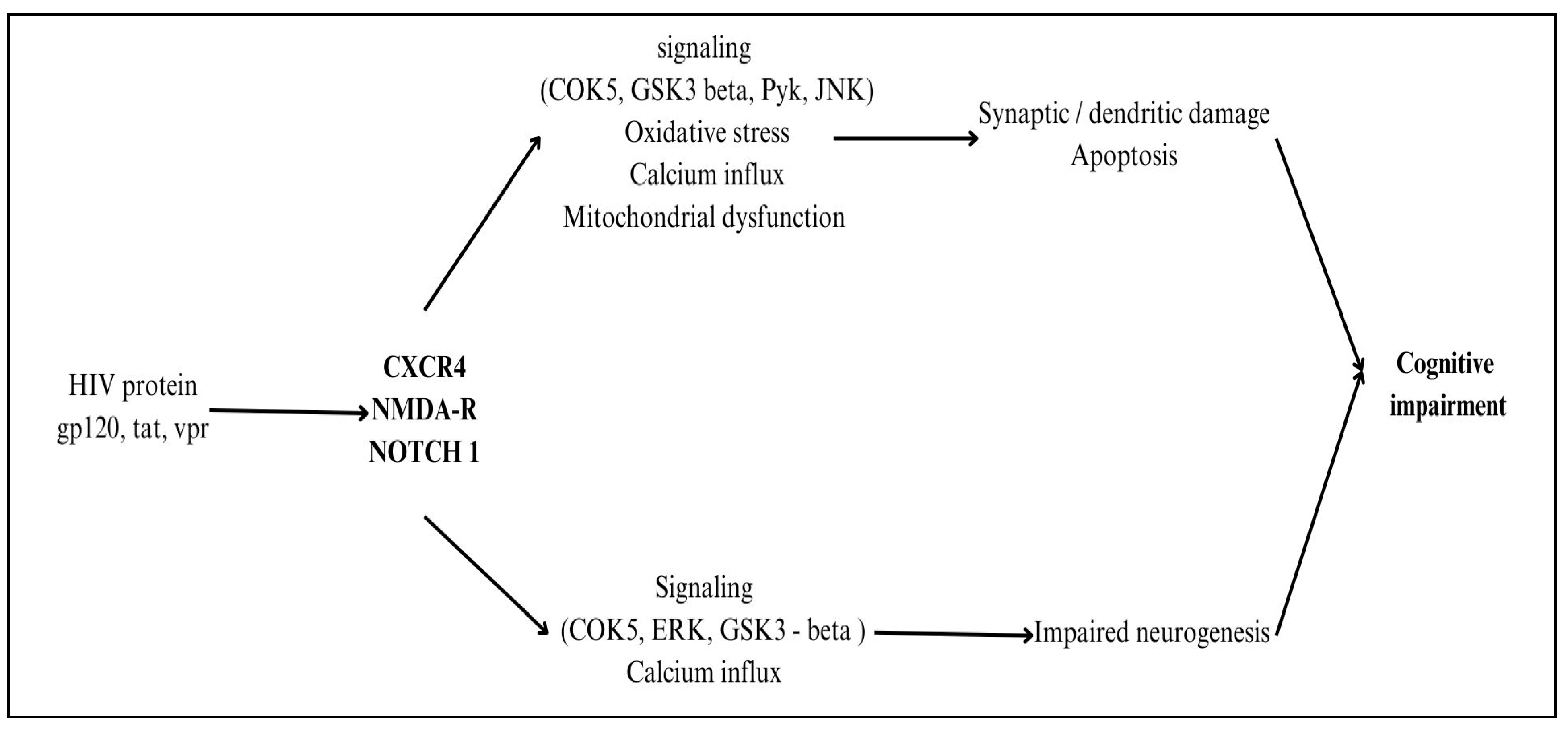 Neuroglia 06 00023 g005