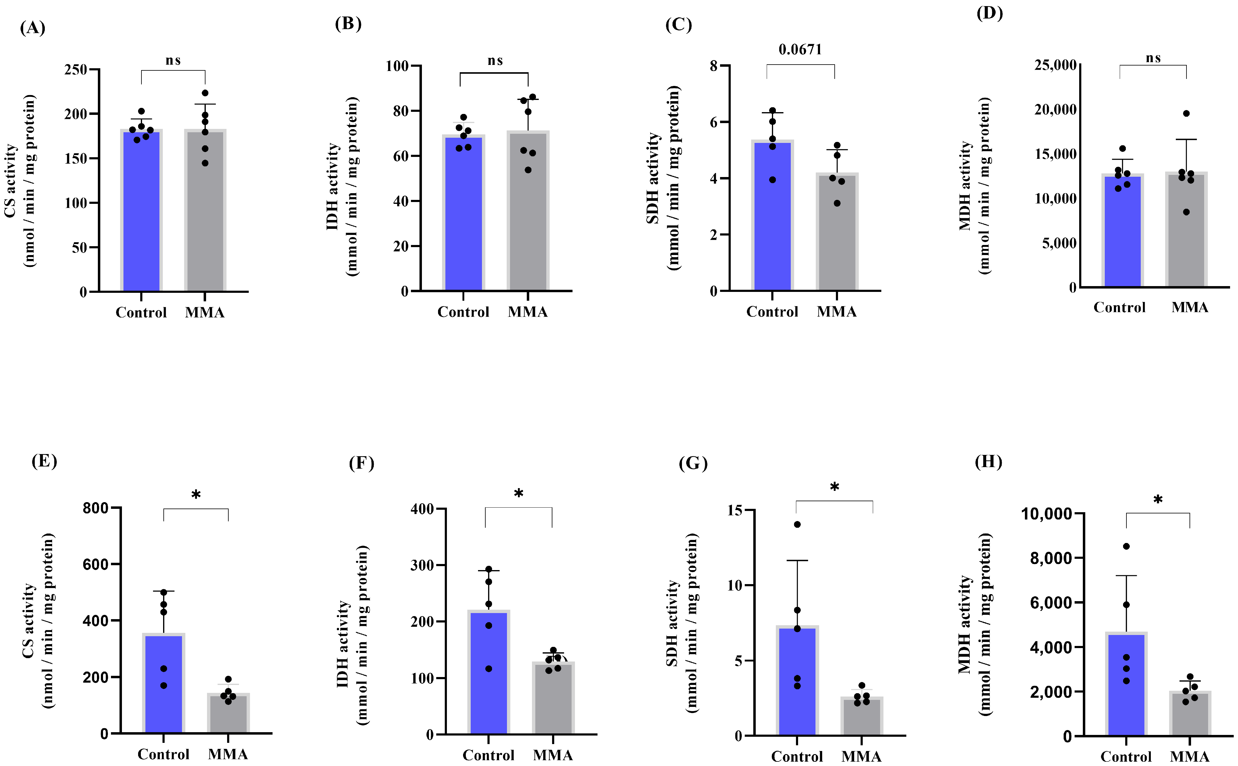Neuroglia 06 00025 g003
