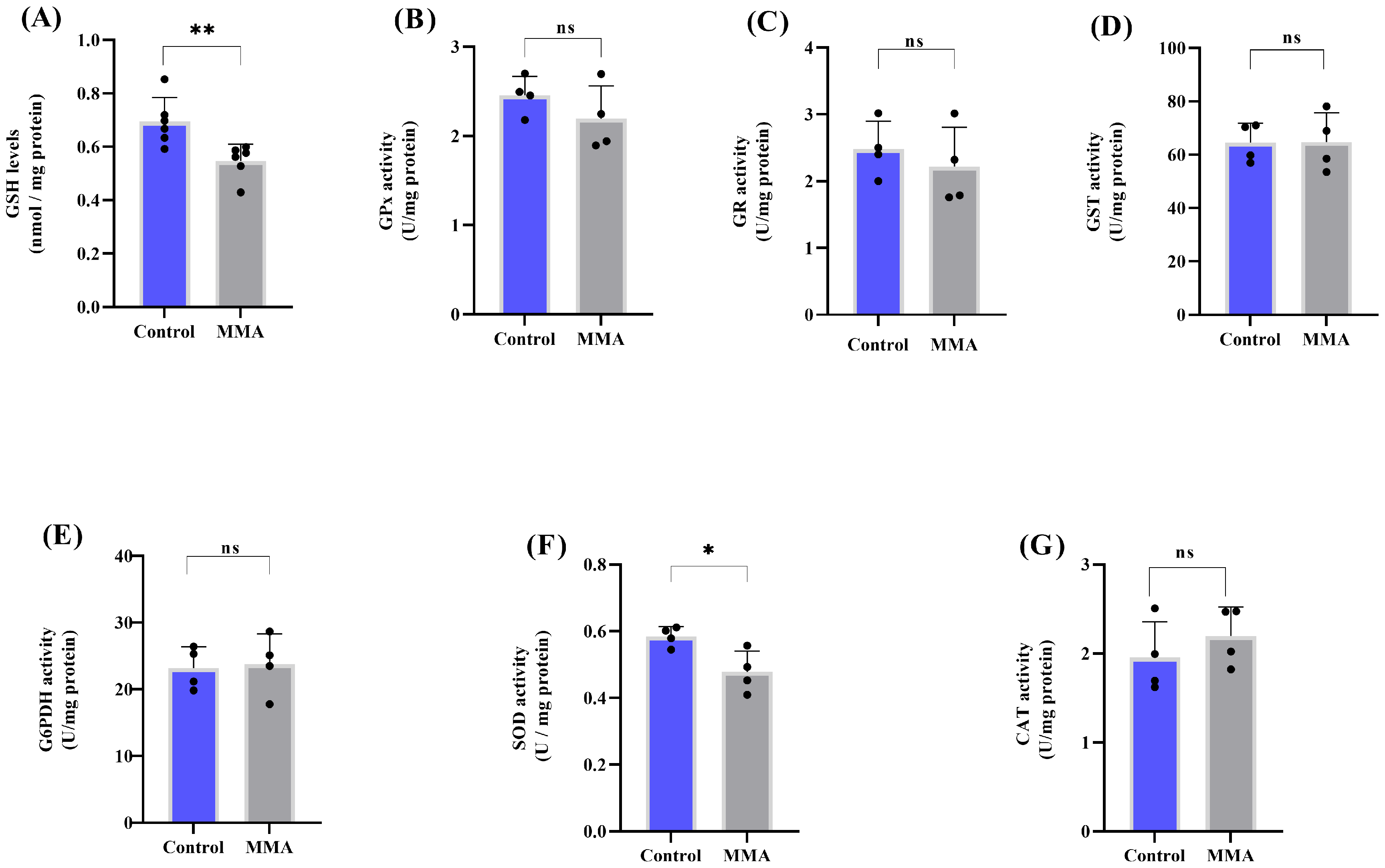 Neuroglia 06 00025 g005