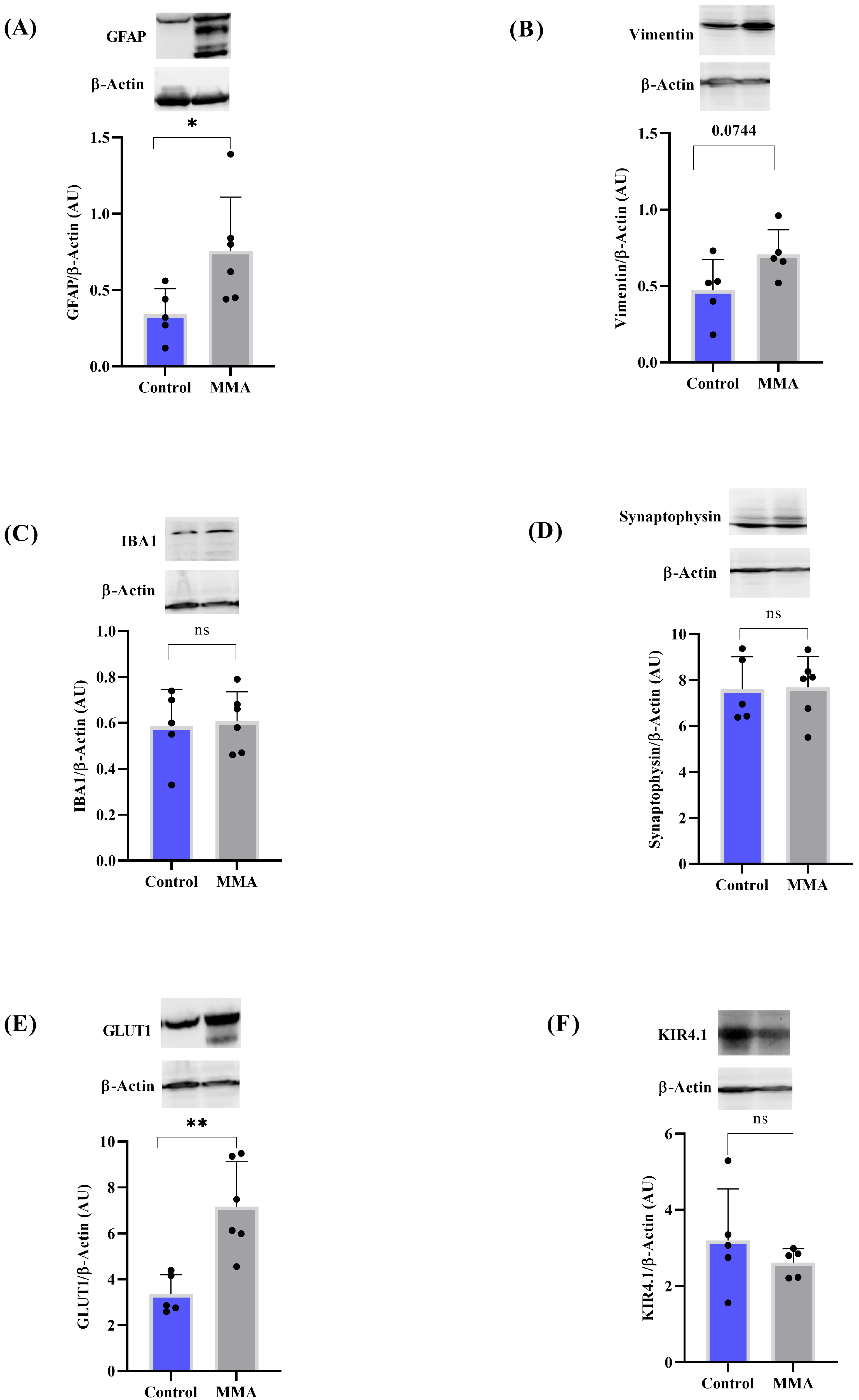 Neuroglia 06 00025 g008