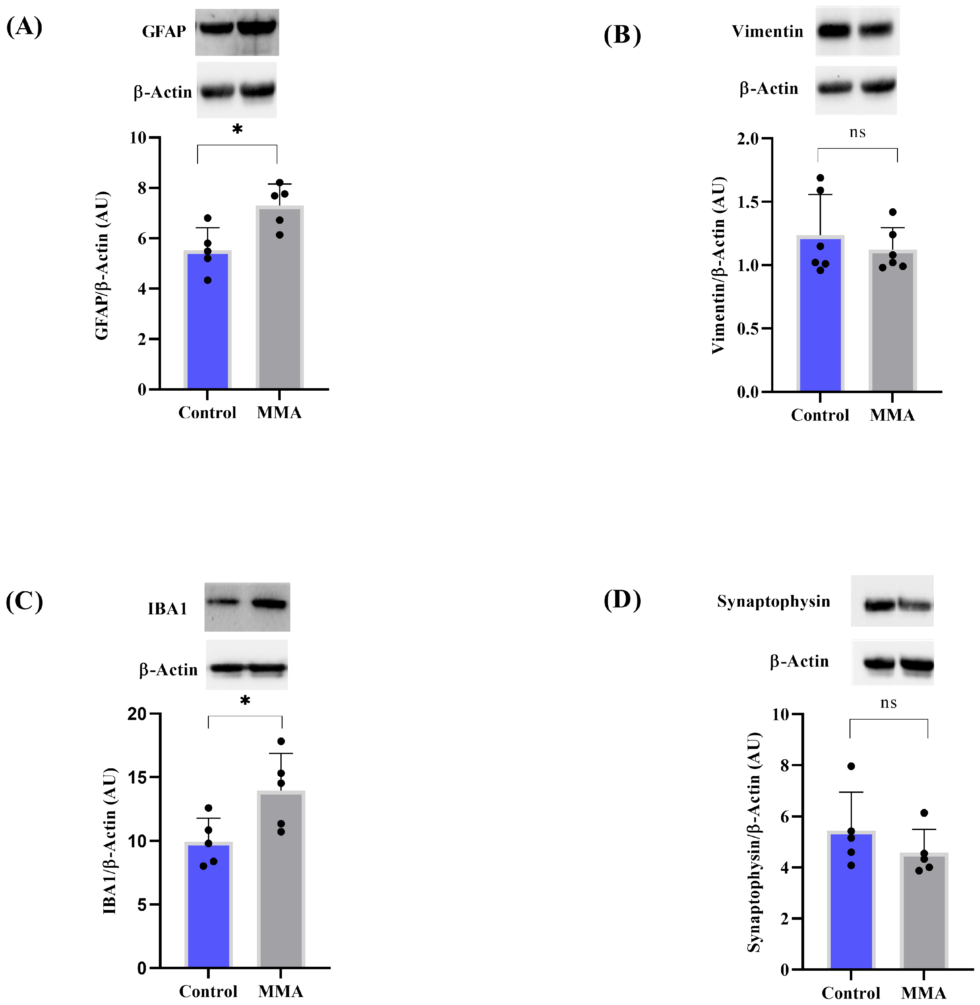 Neuroglia 06 00025 g009