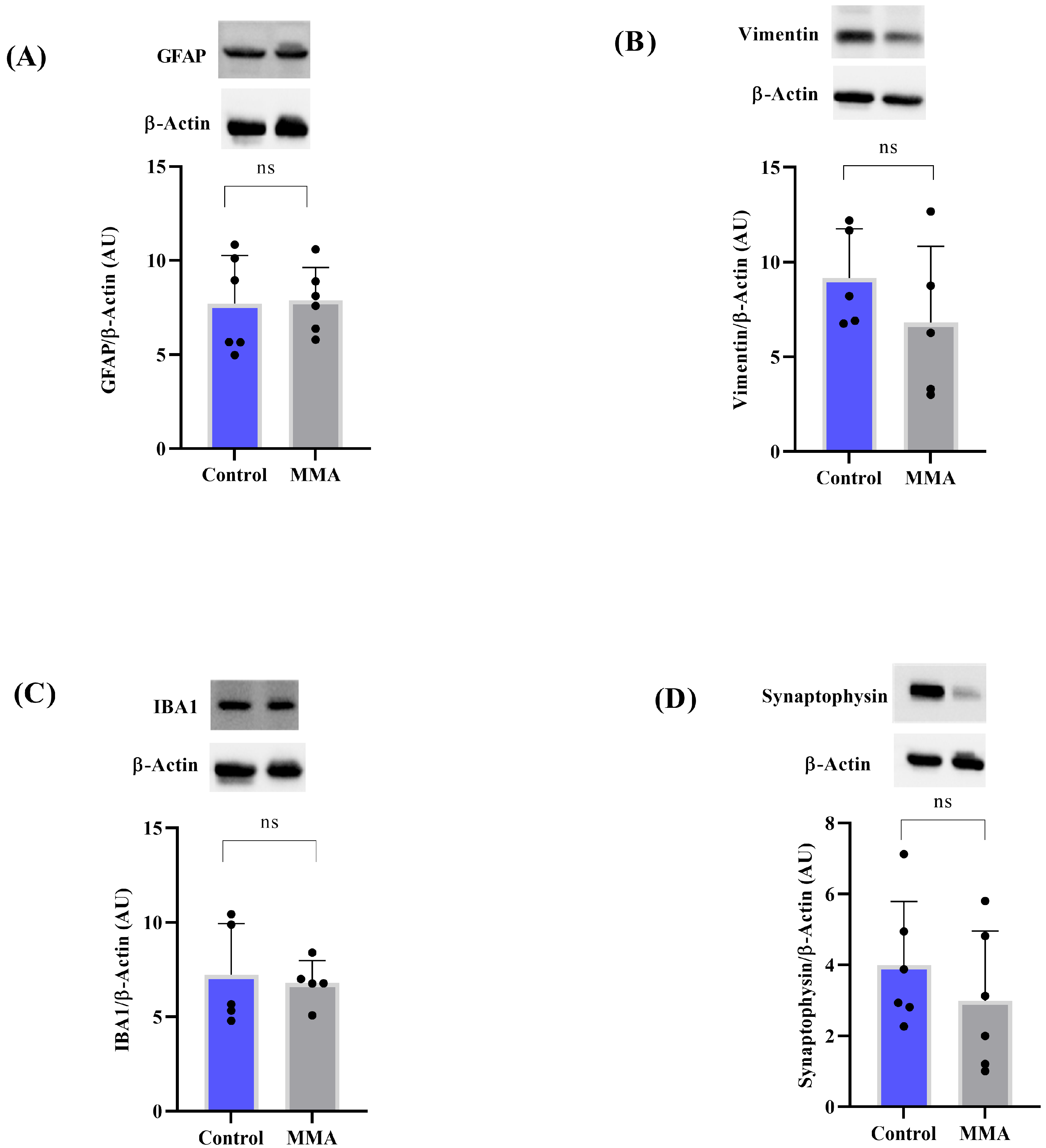 Neuroglia 06 00025 g010