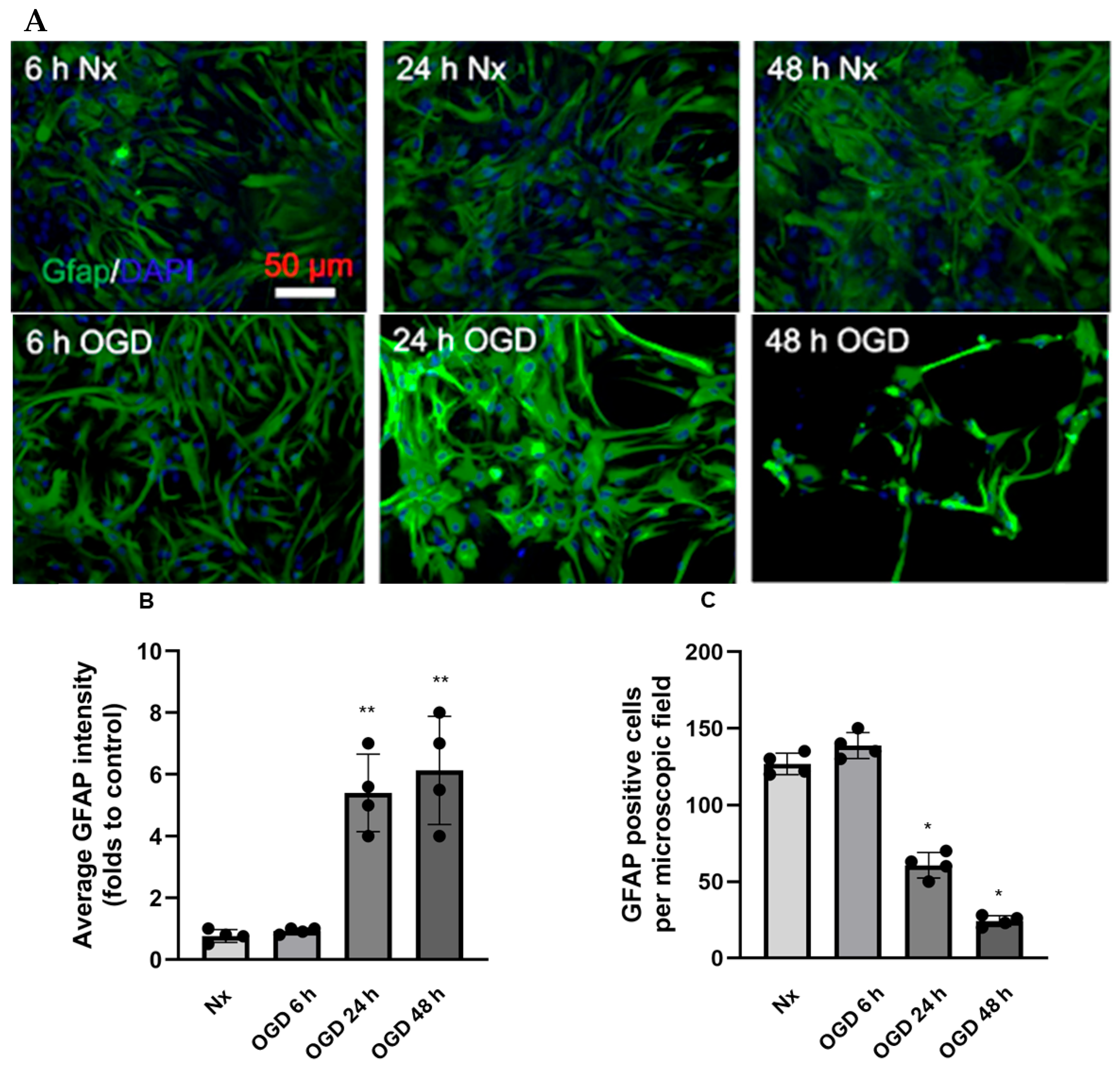 Neuroglia 06 00027 g002