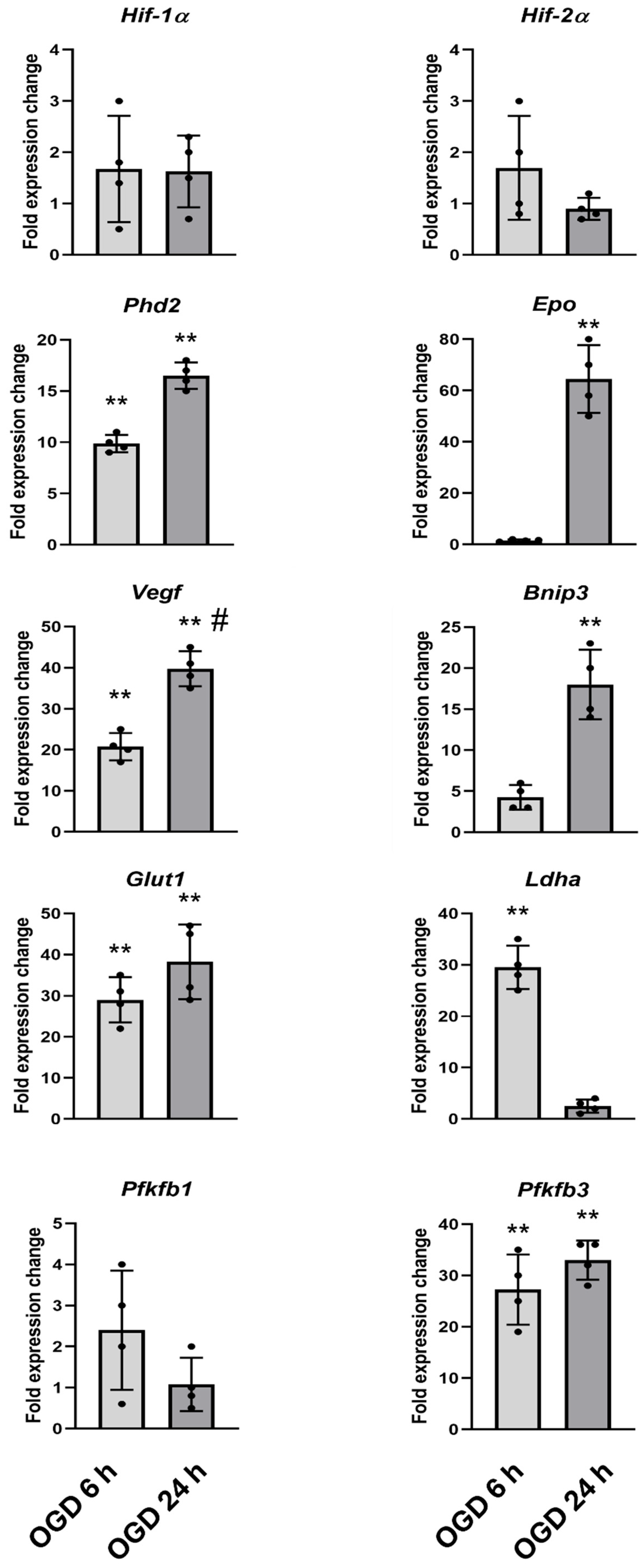 Neuroglia 06 00027 g005
