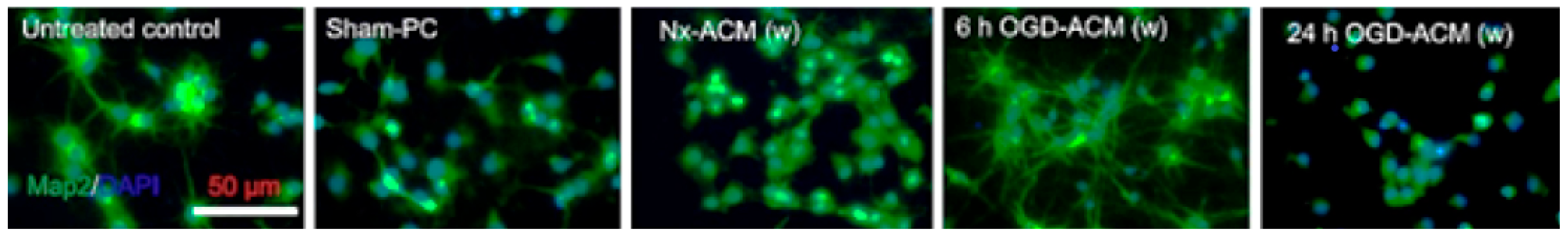 Neuroglia 06 00027 g006