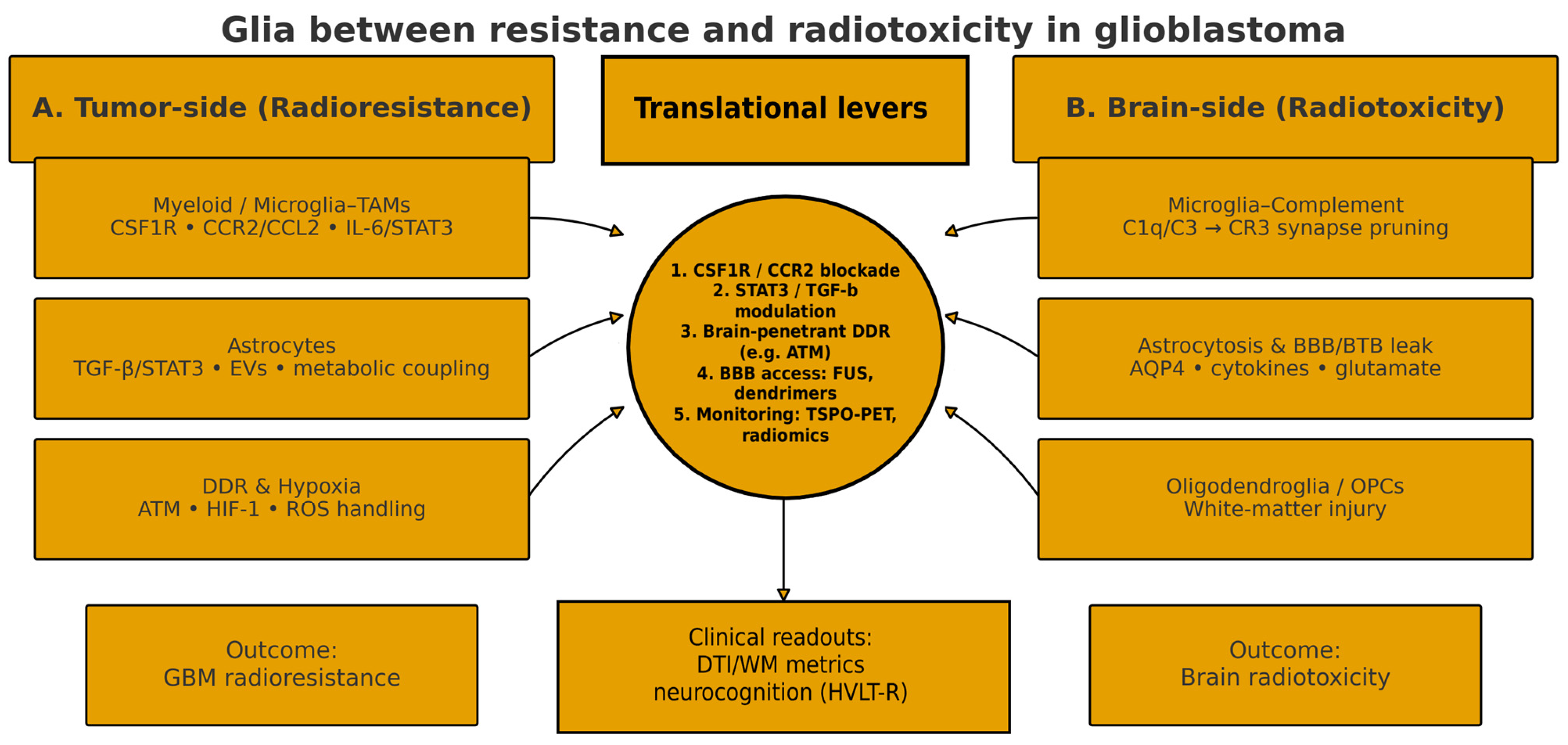 Neuroglia 06 00044 g001