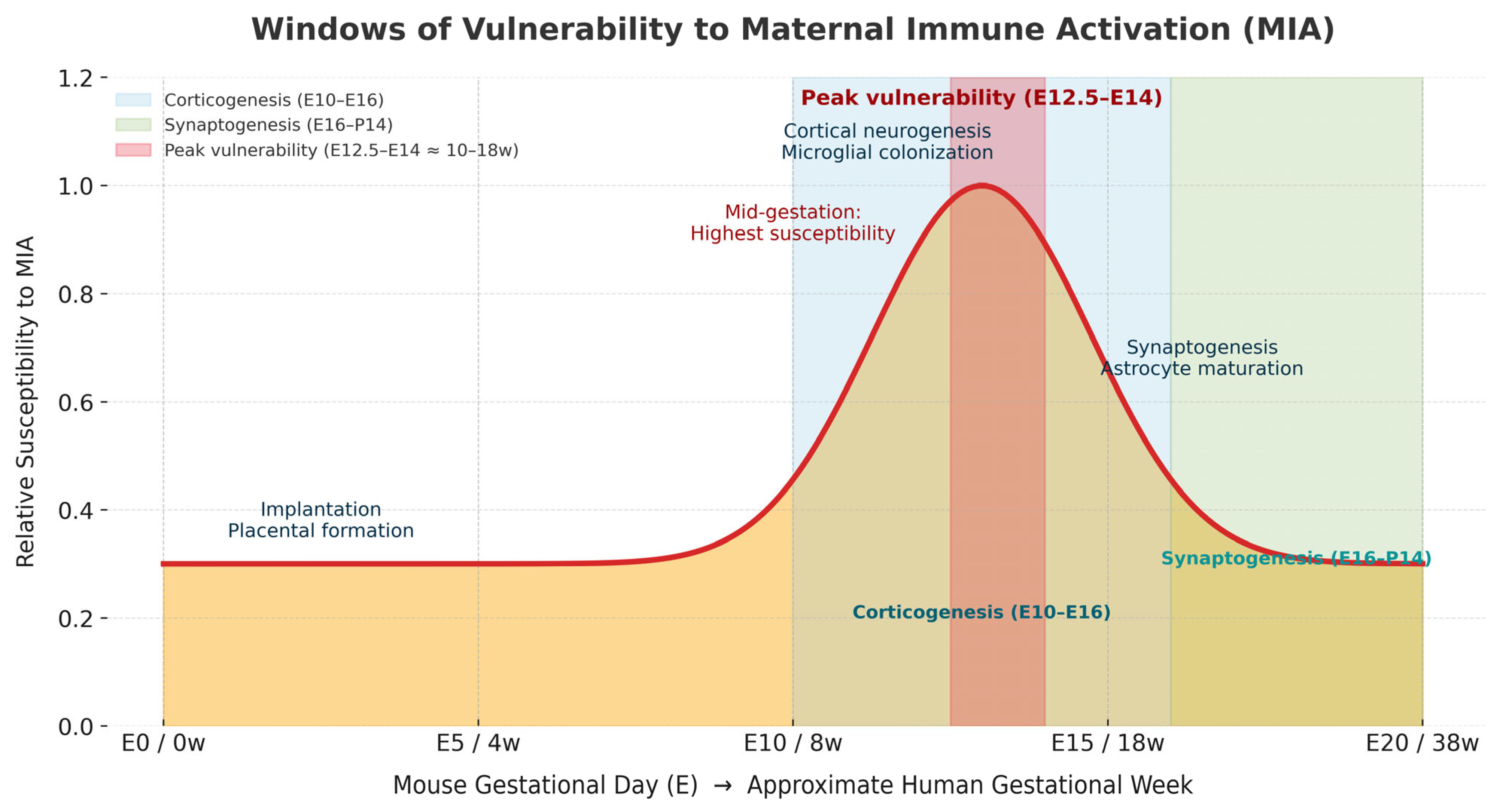 Neuroglia 06 00045 g002