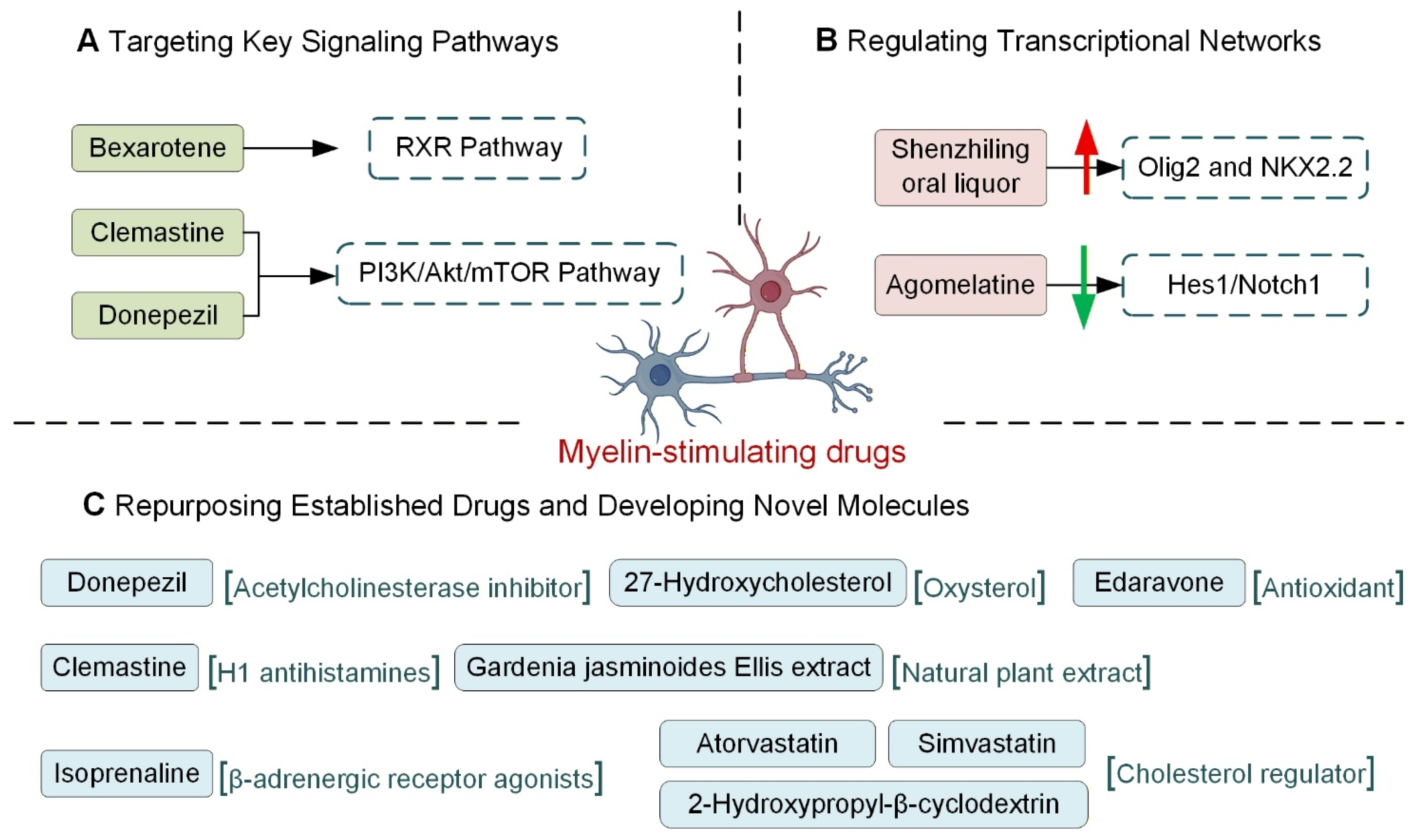 Neuroglia 06 00046 g005 Neuroglia 06 00046 g005