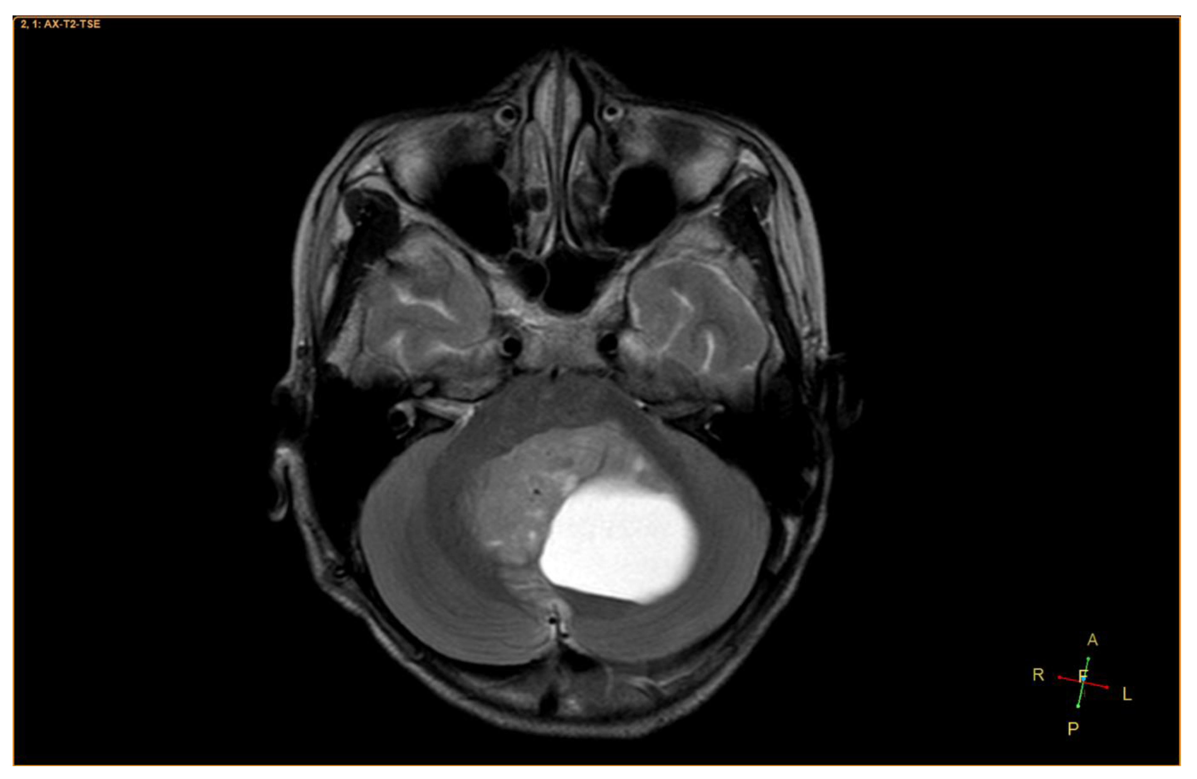 Neurolint 12 00010 g001