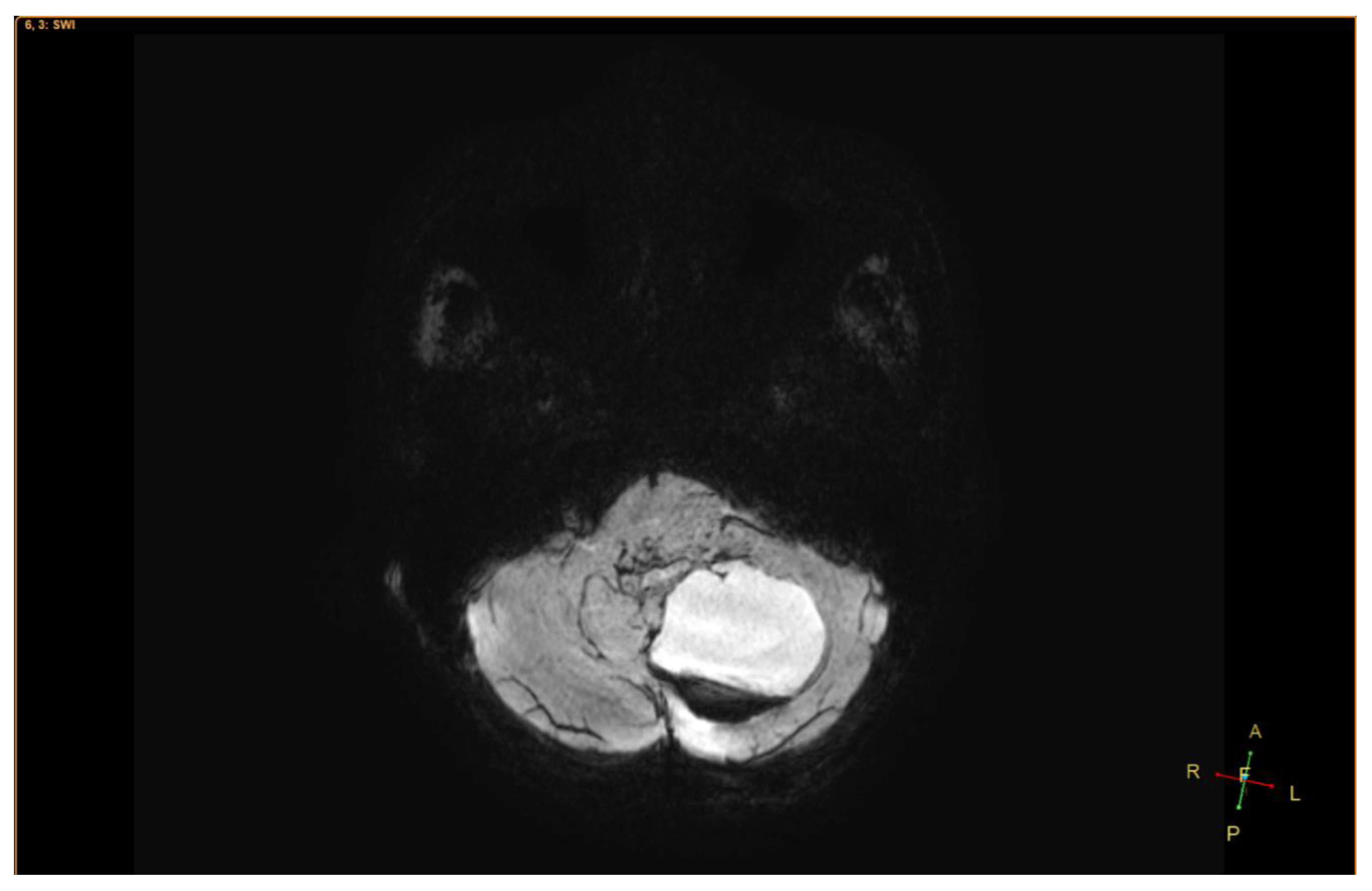 Neurolint 12 00010 g002
