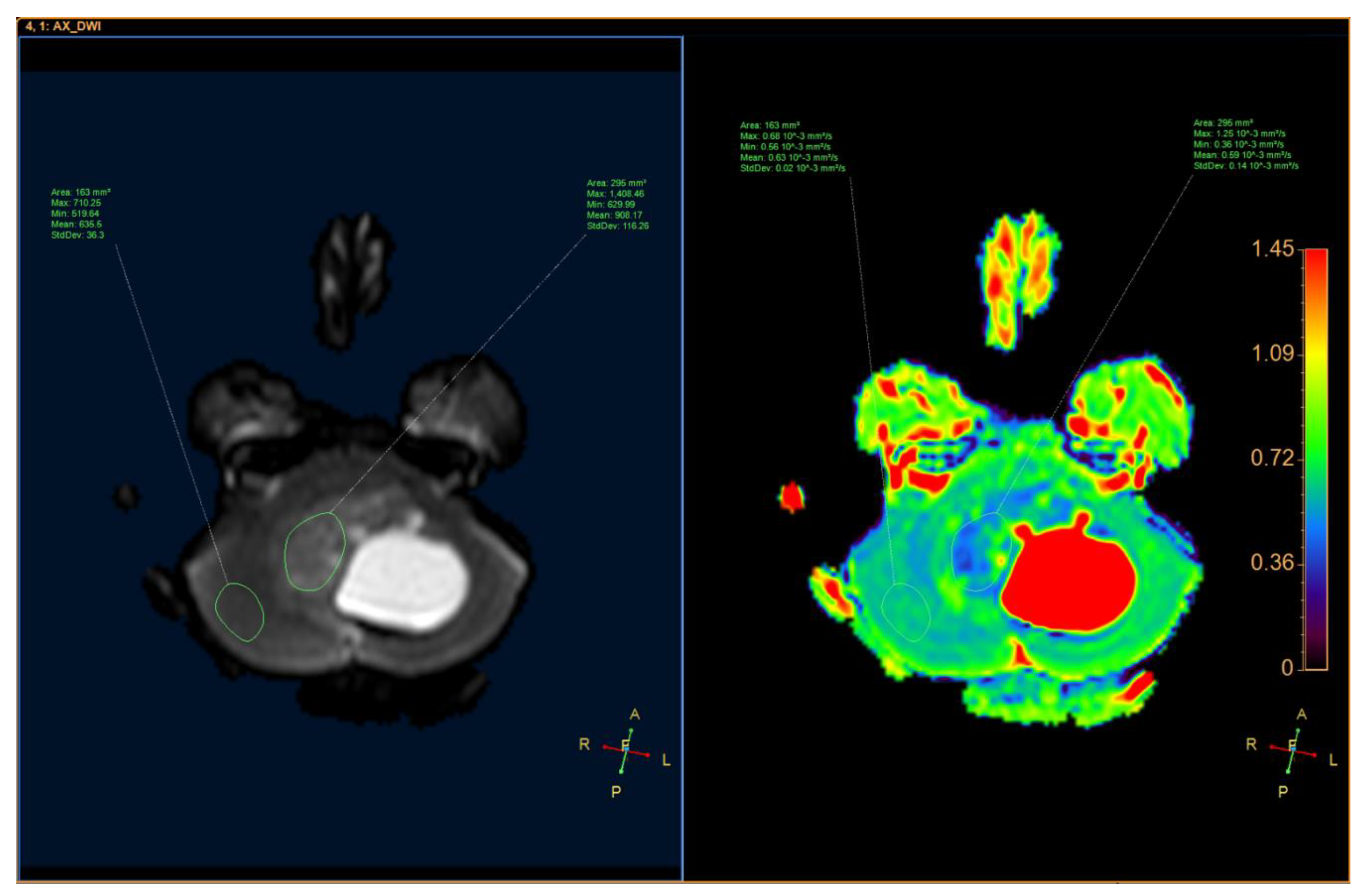Neurolint 12 00010 g003