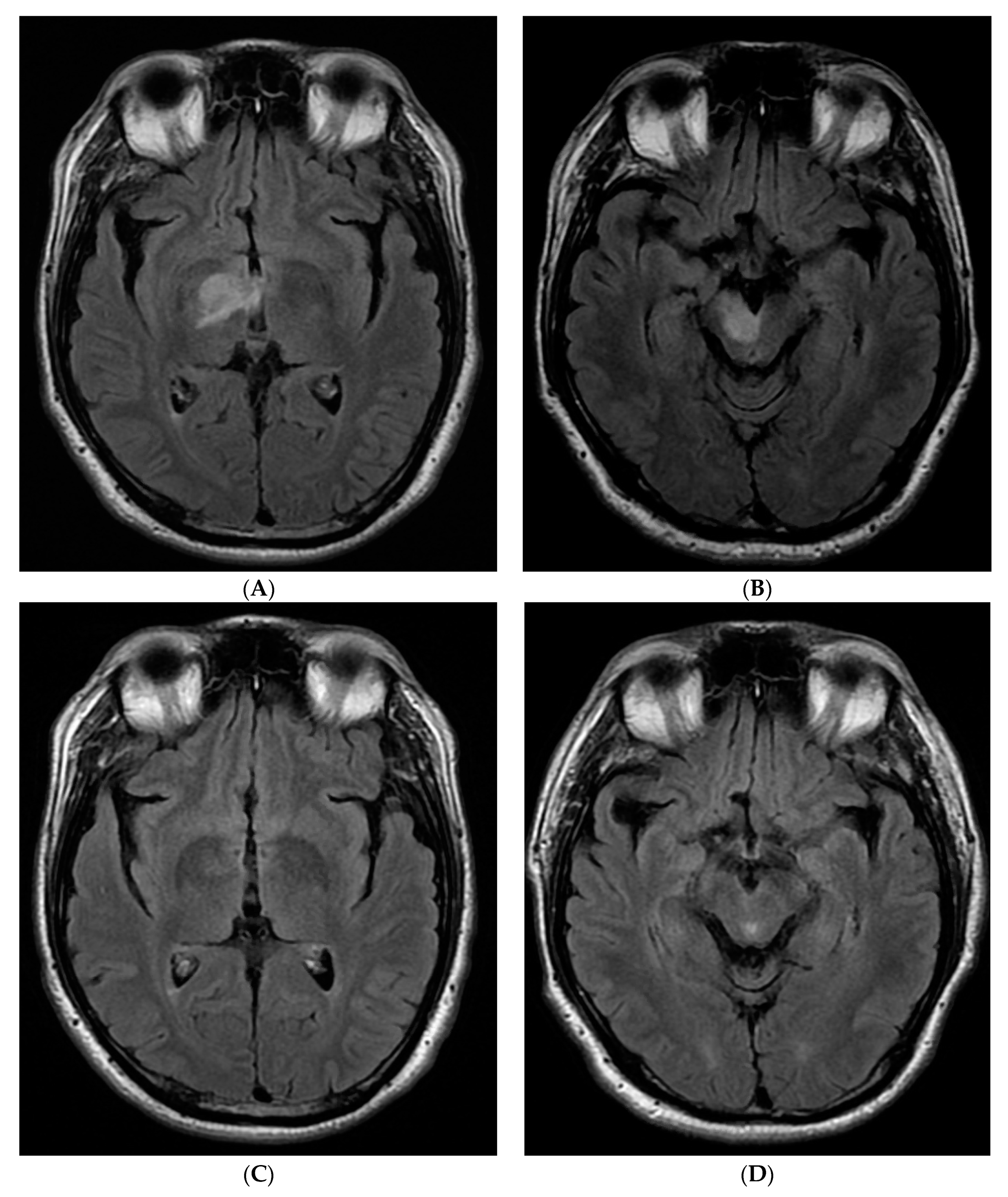 Neurolint 12 00018 g001
