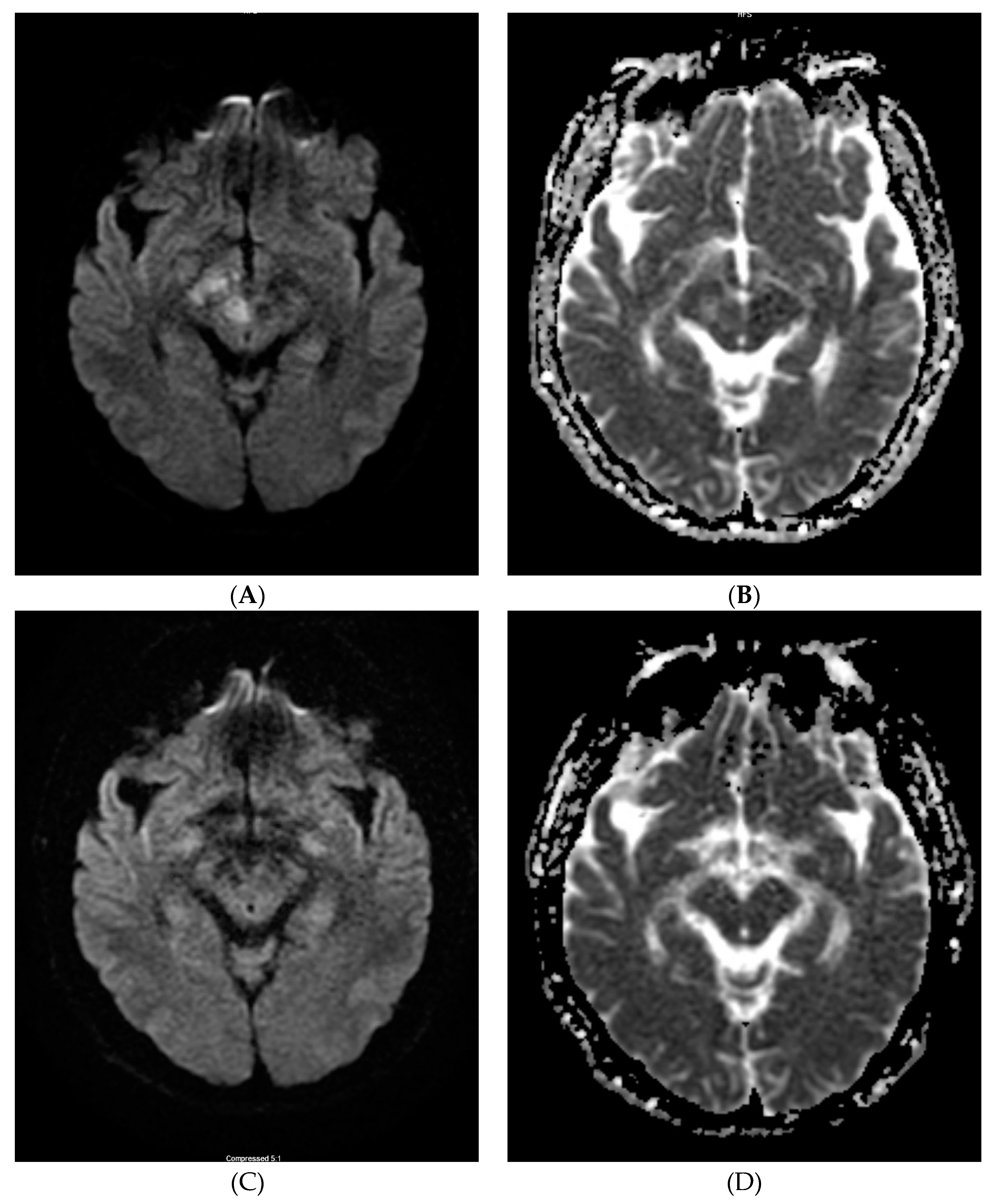 Neurolint 12 00018 g002