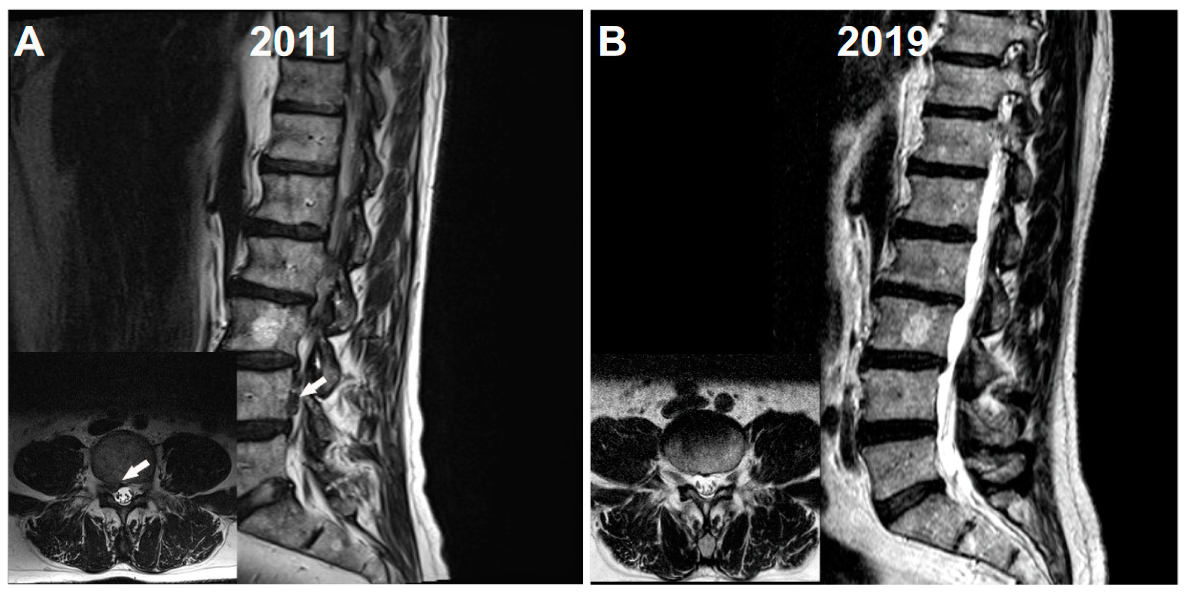 Neurolint 13 00008 g001 Neurolint 13 00008 g001