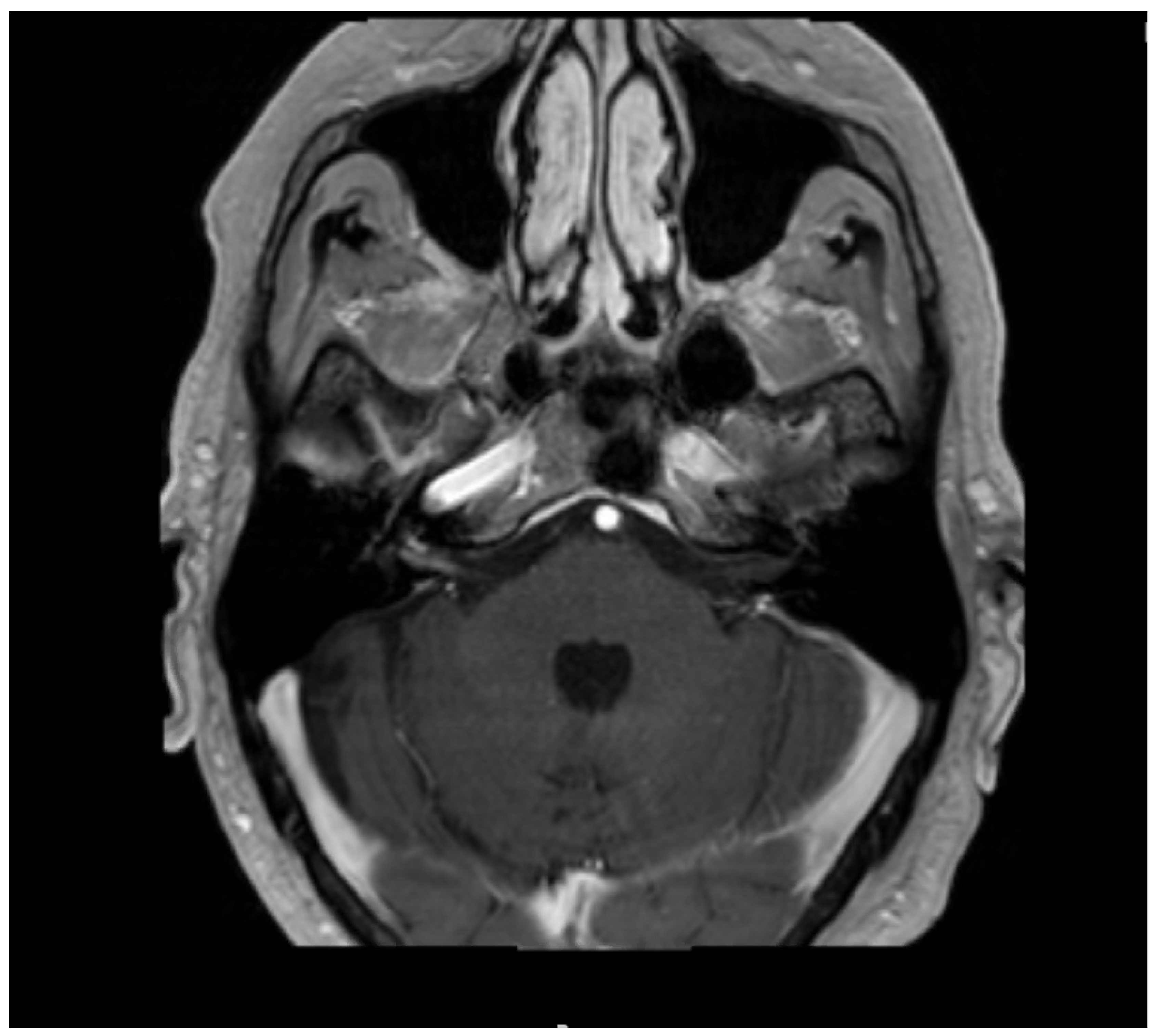 Neurolint 13 00012 g001 Neurolint 13 00012 g001