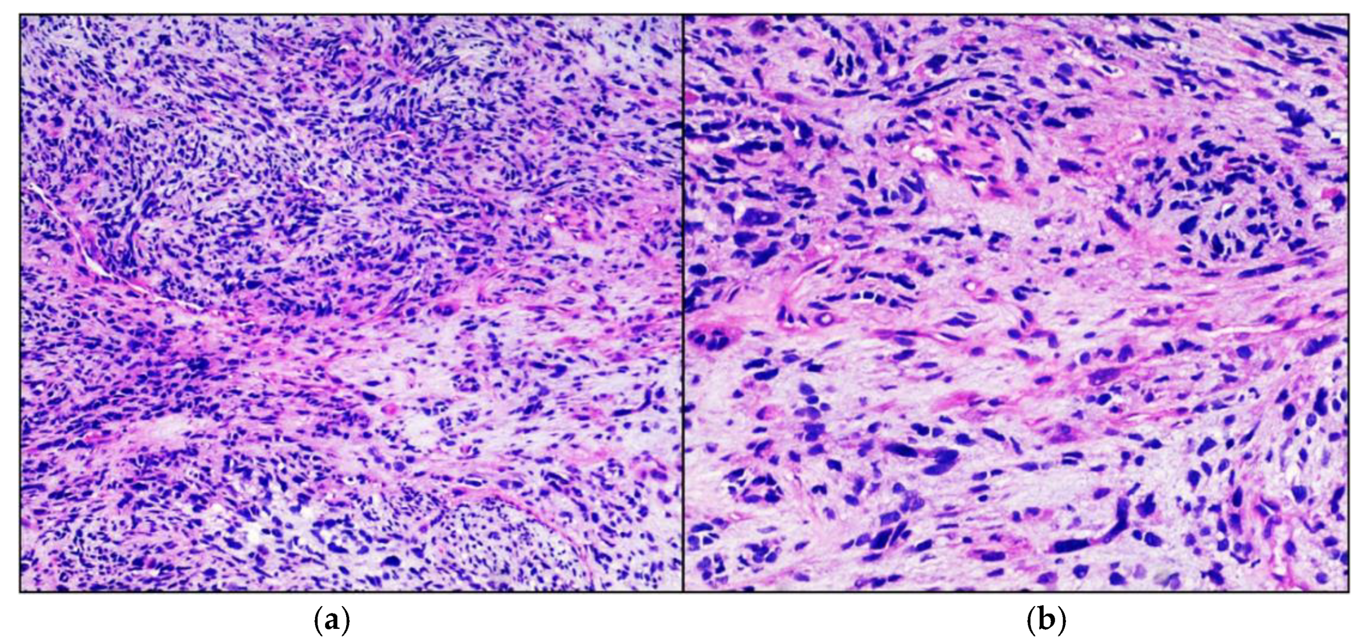 Neurolint 13 00017 g001 Neurolint 13 00017 g001