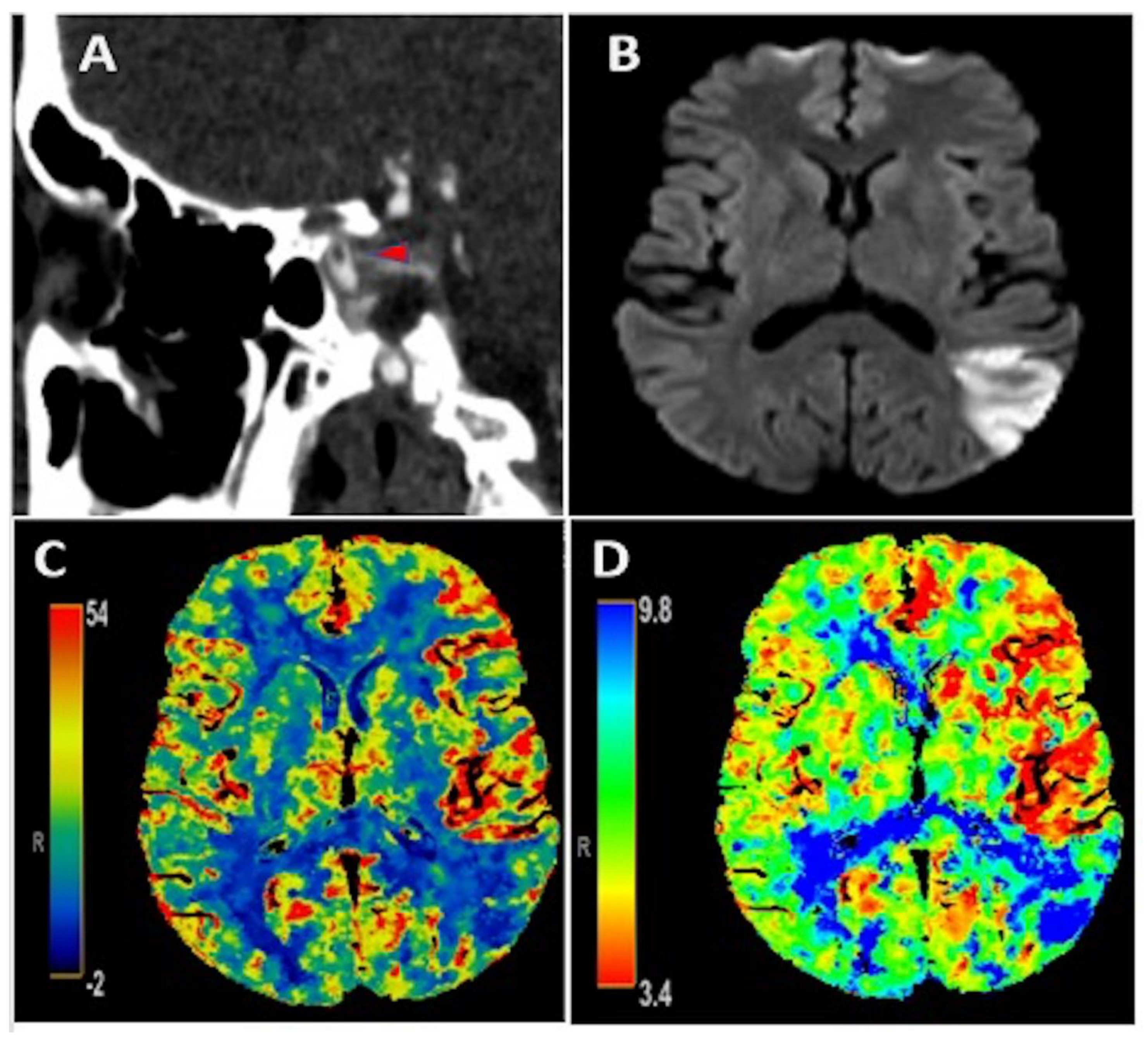 Neurolint 13 00027 g001