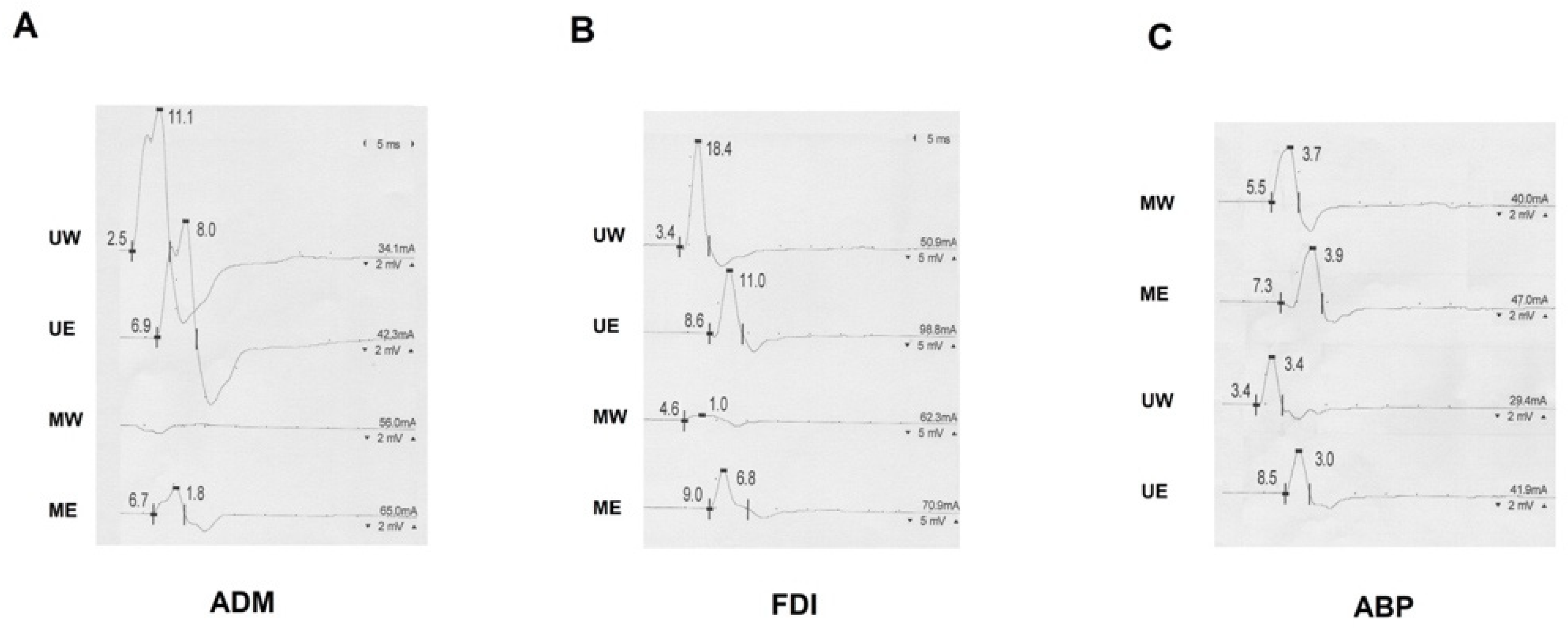 Neurolint 13 00031 g002 550