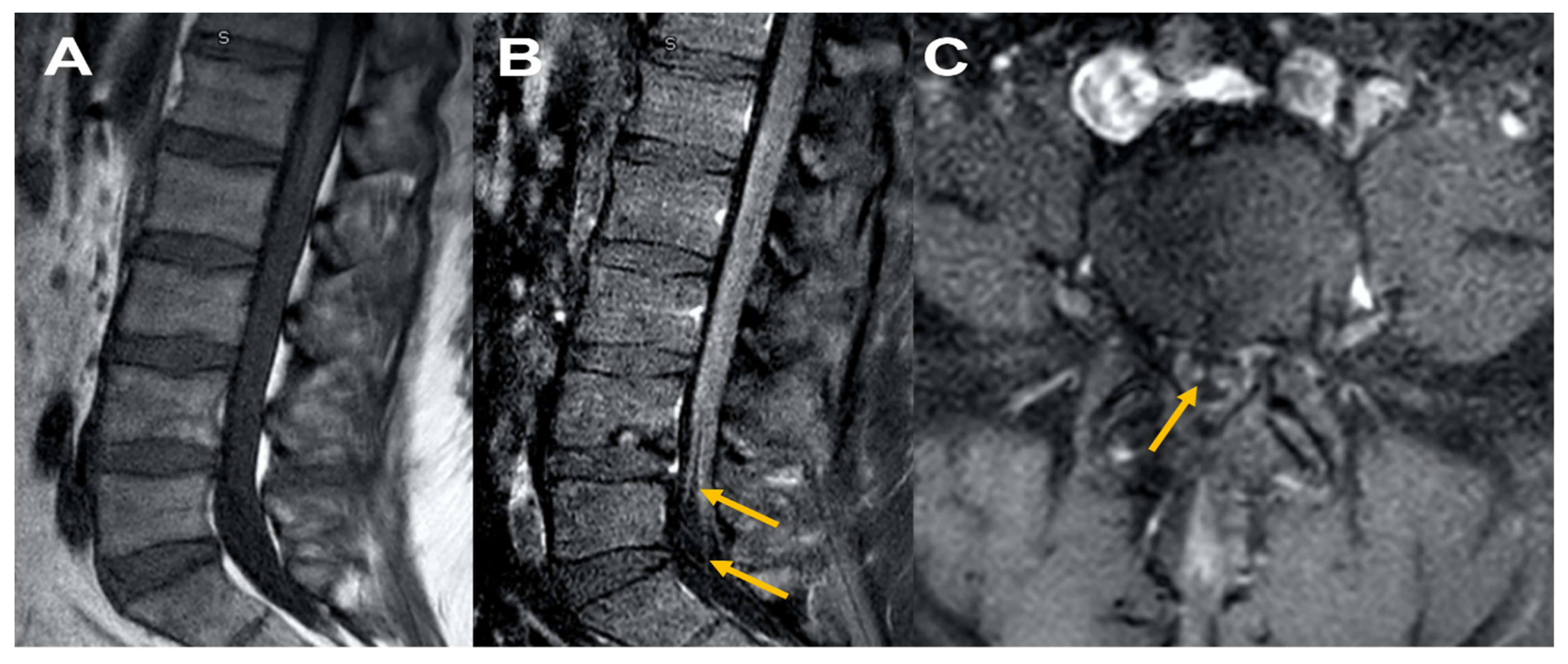 Neurolint 13 00061 g002 Neurolint 13 00061 g002