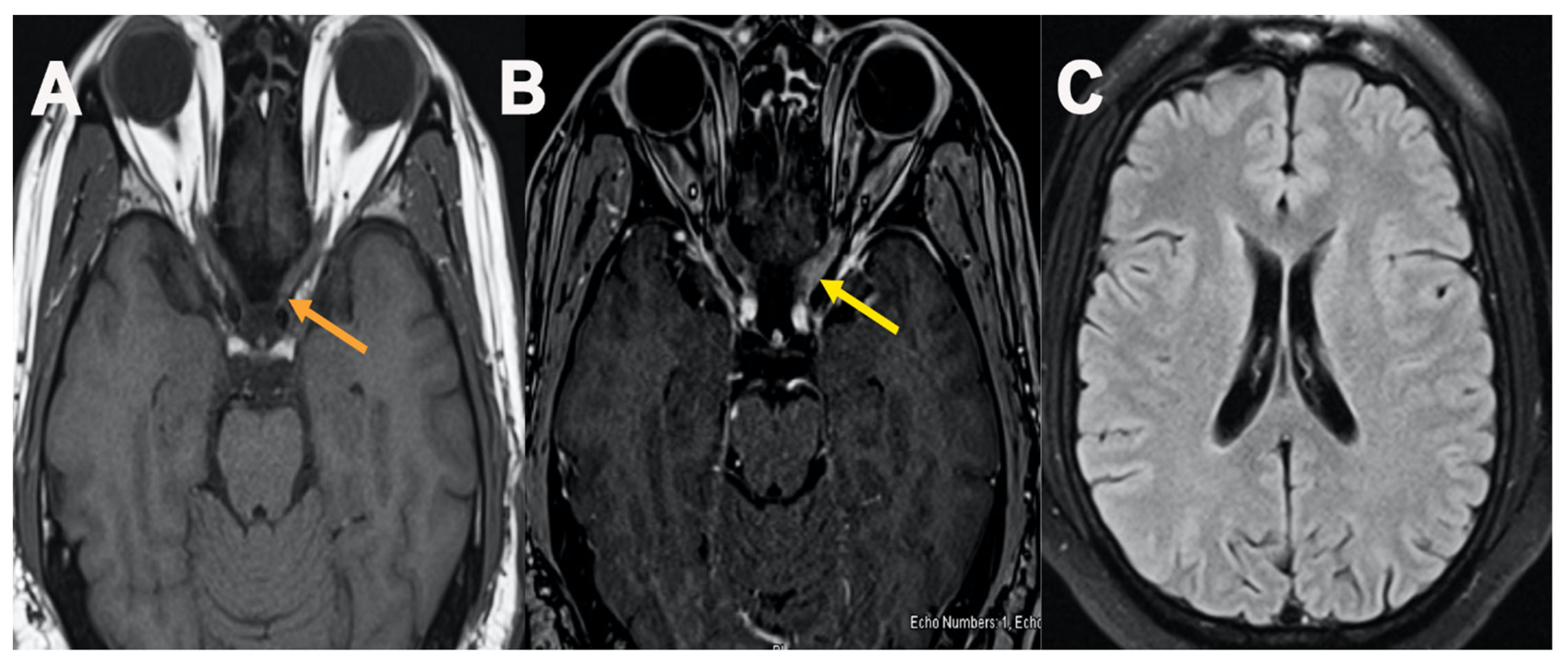 Neurolint 13 00061 g003 Neurolint 13 00061 g003