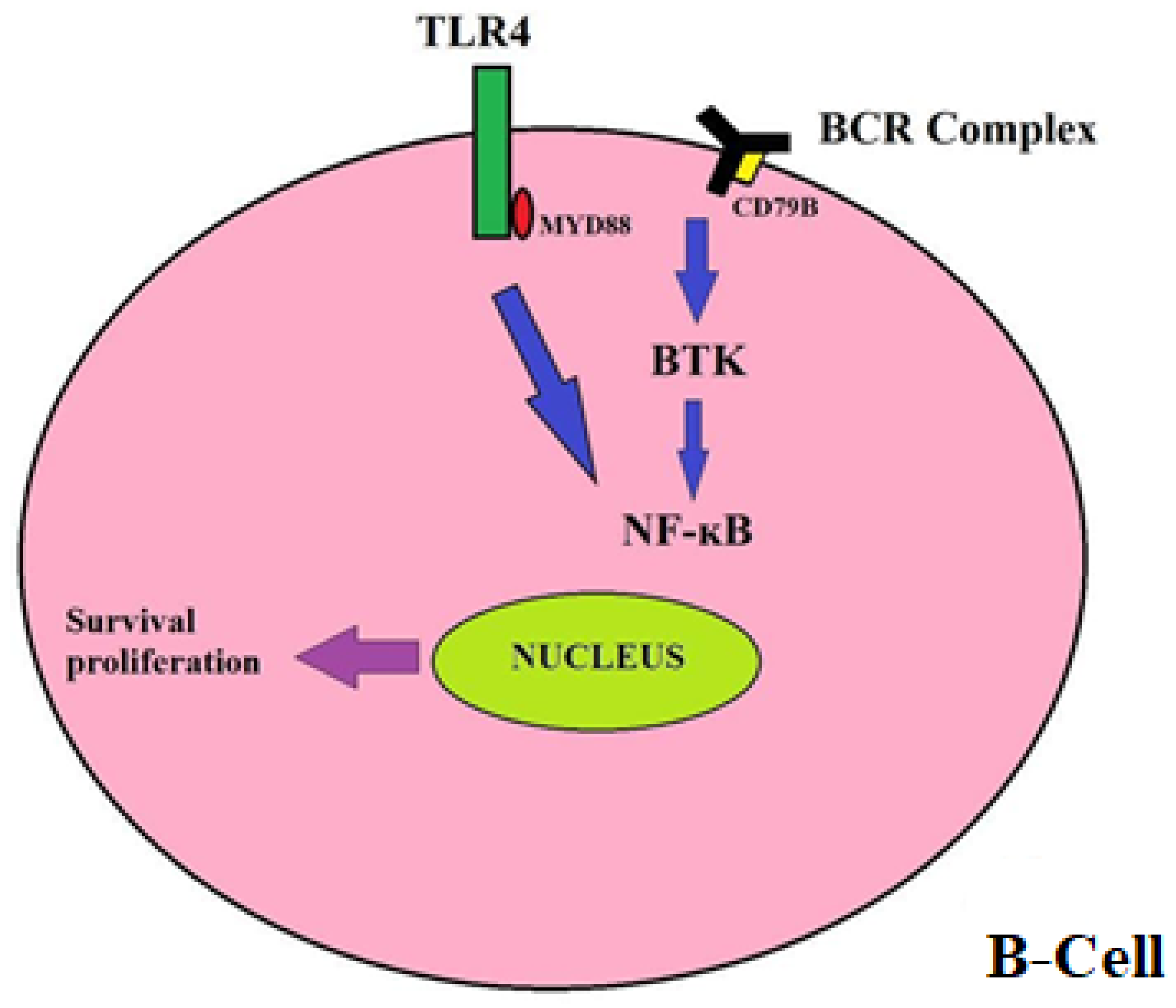 Neurolint 14 00009 g001 Neurolint 14 00009 g001