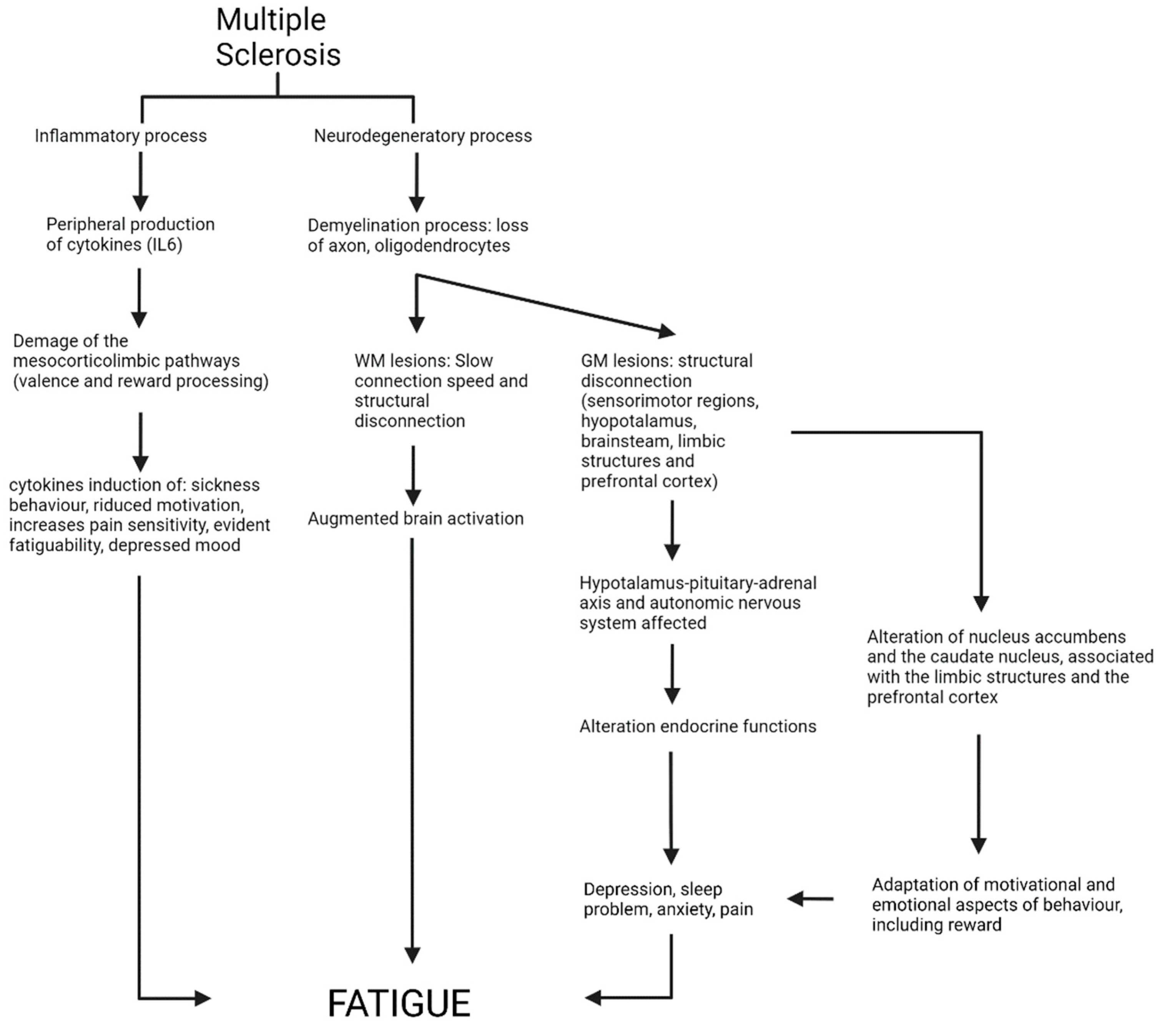 Neurolint 14 00042 g001 Neurolint 14 00042 g001