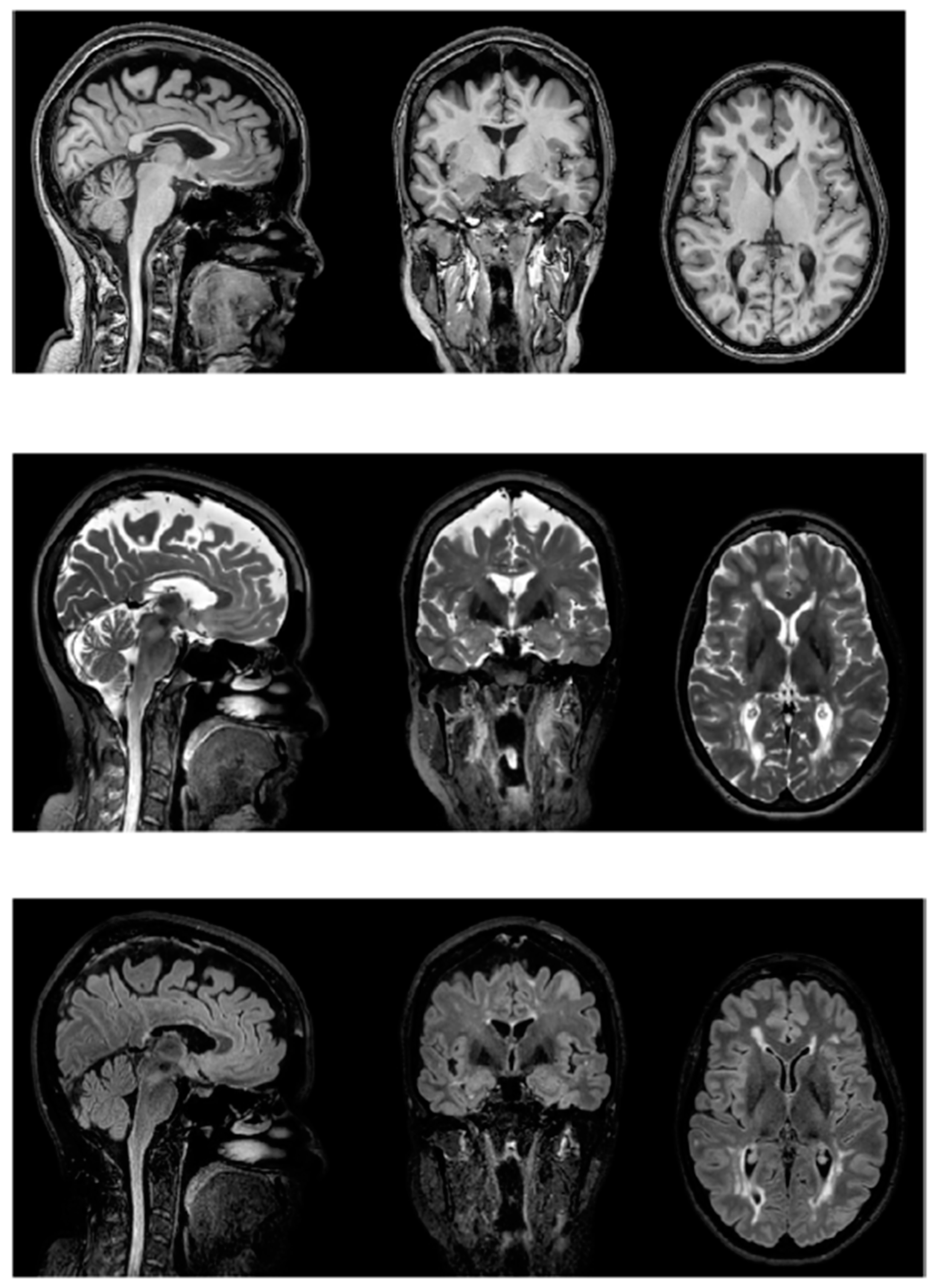 Neurolint 14 00042 g002 Neurolint 14 00042 g002