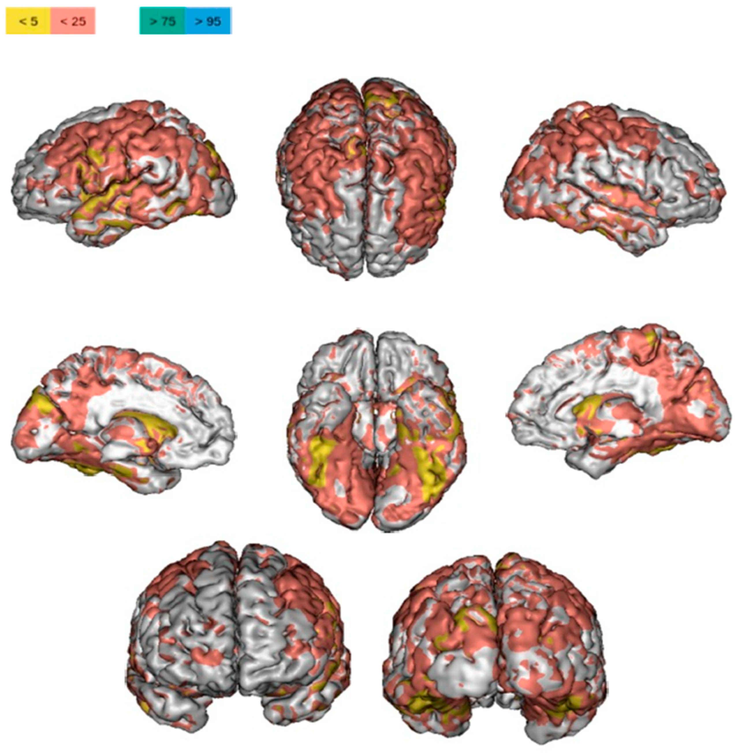 Neurolint 14 00042 g003 Neurolint 14 00042 g003