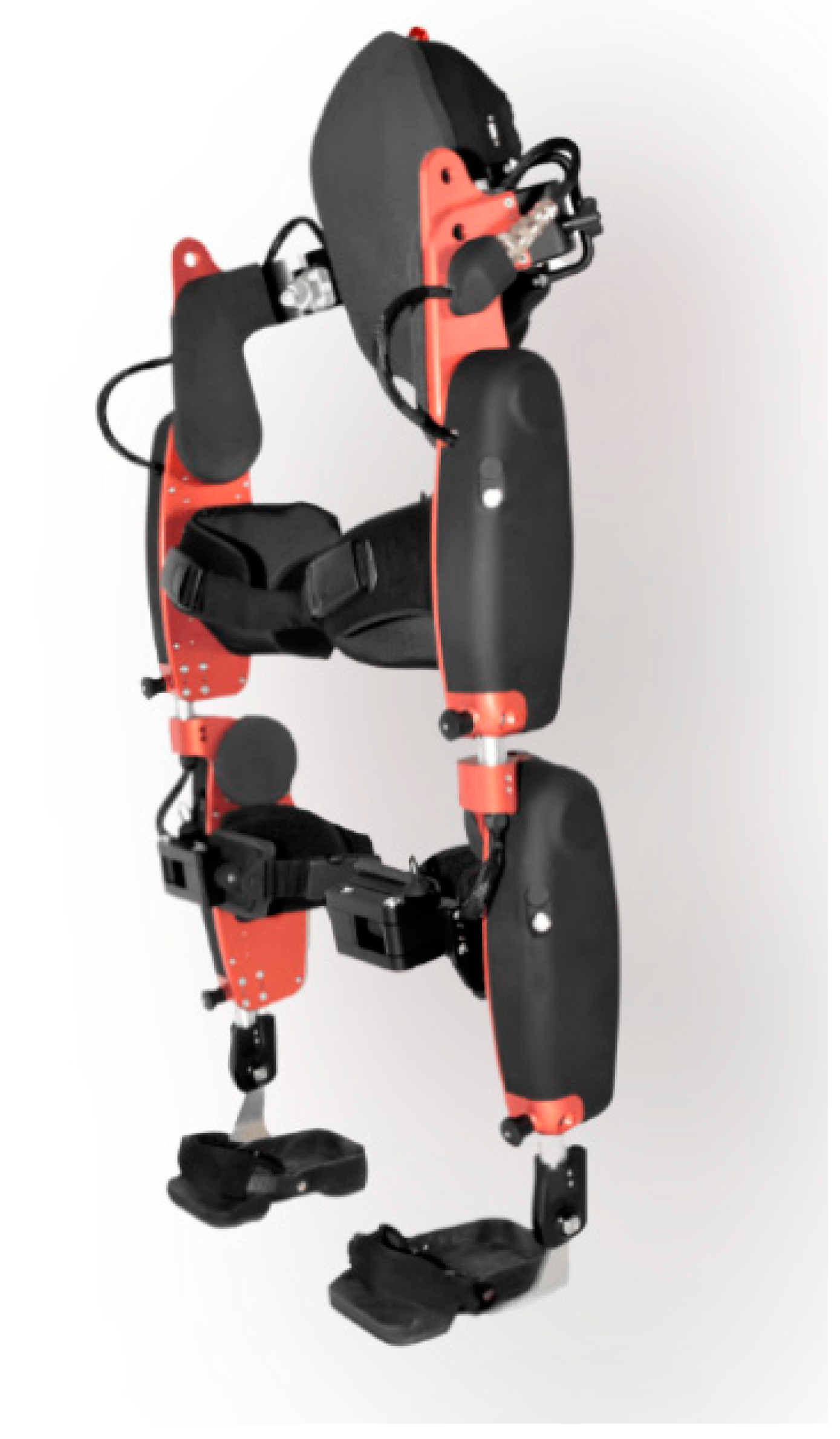 Neurolint 14 00043 g001