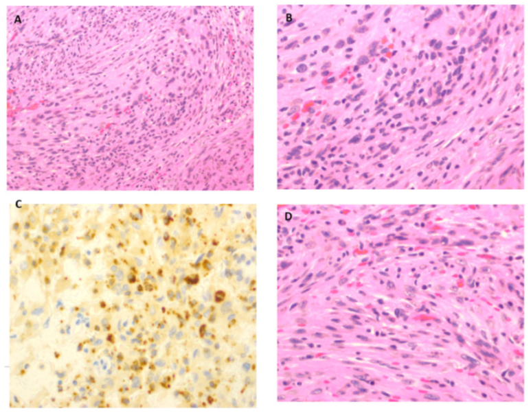 Neurolint 14 00056 g002 550