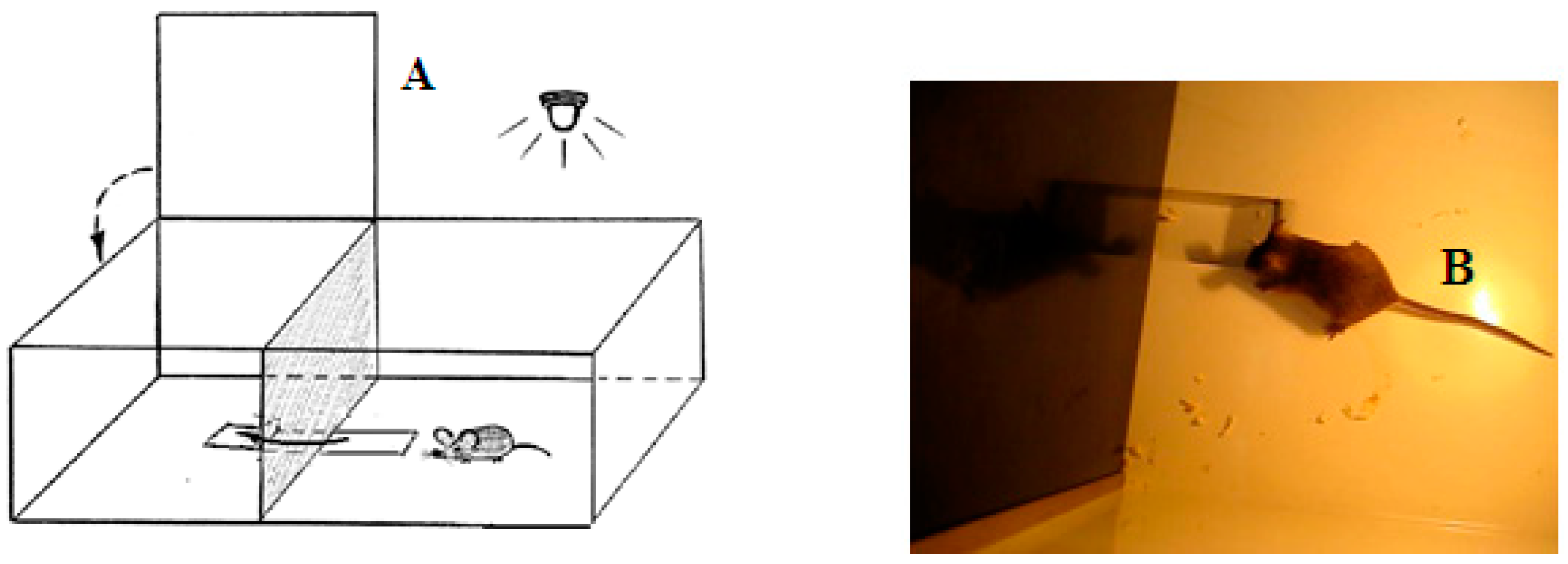 Neurolint 14 00058 g001 Neurolint 14 00058 g001