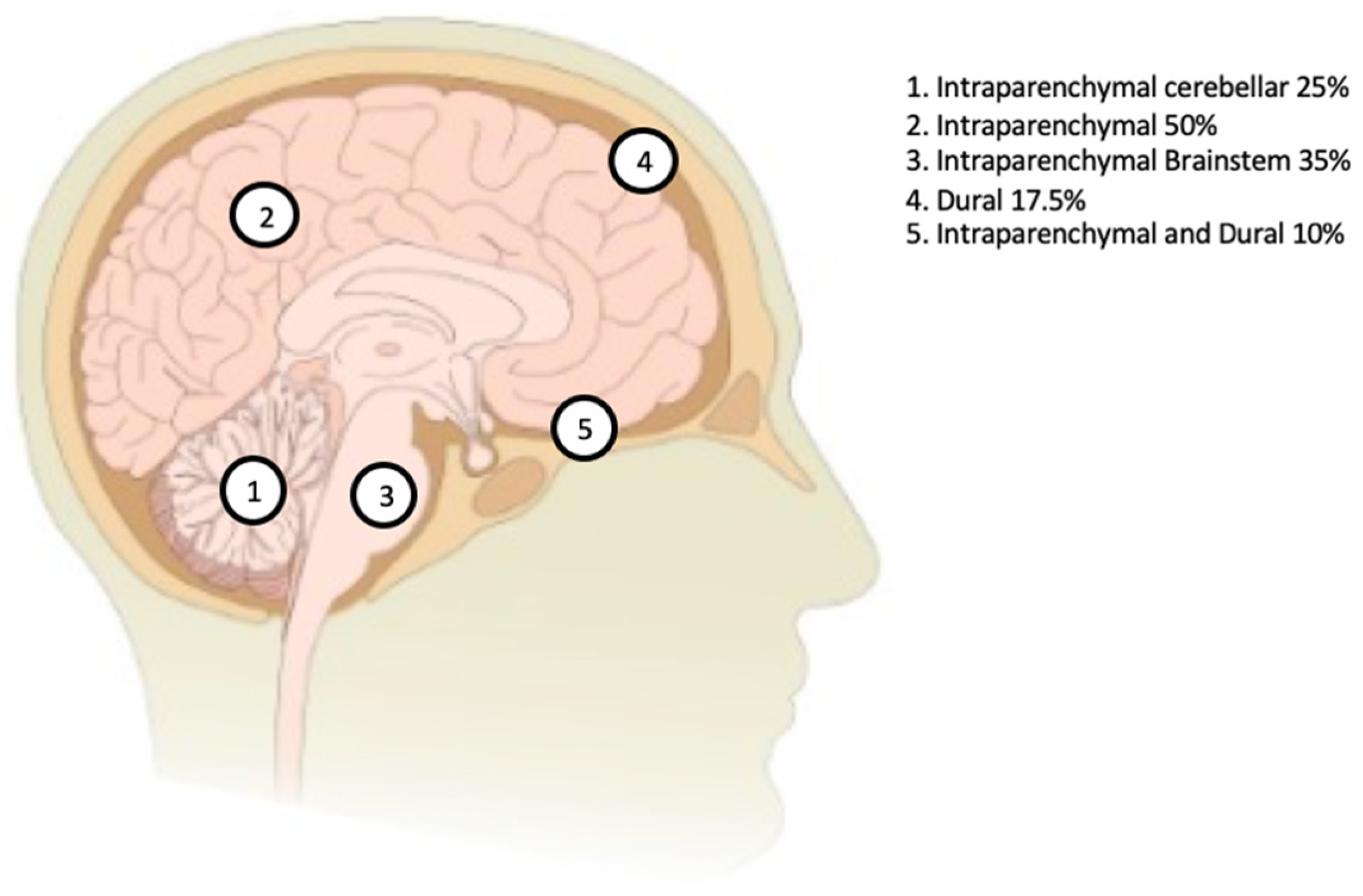 Neurolint 14 00060 g002