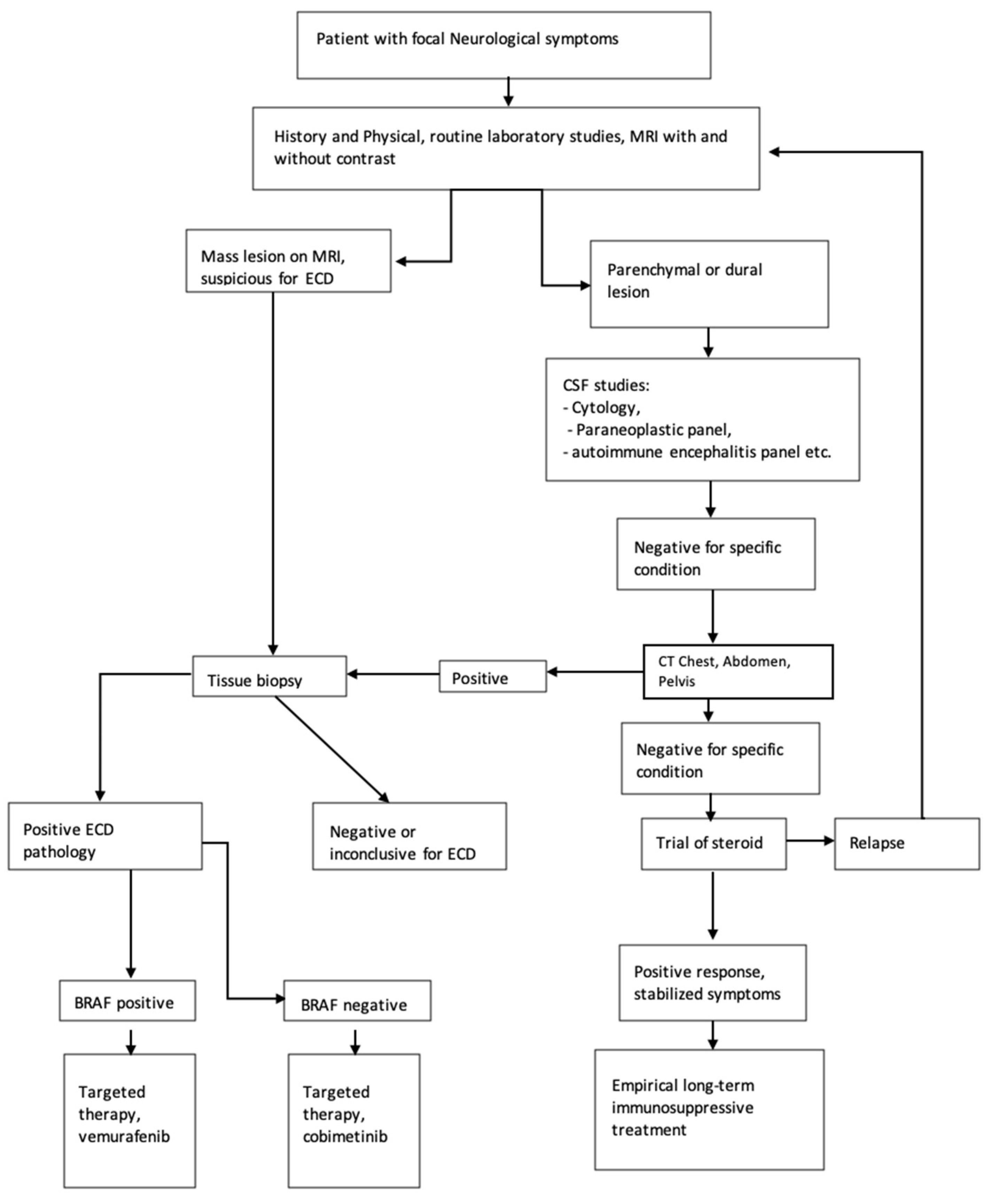 Neurolint 14 00060 g003