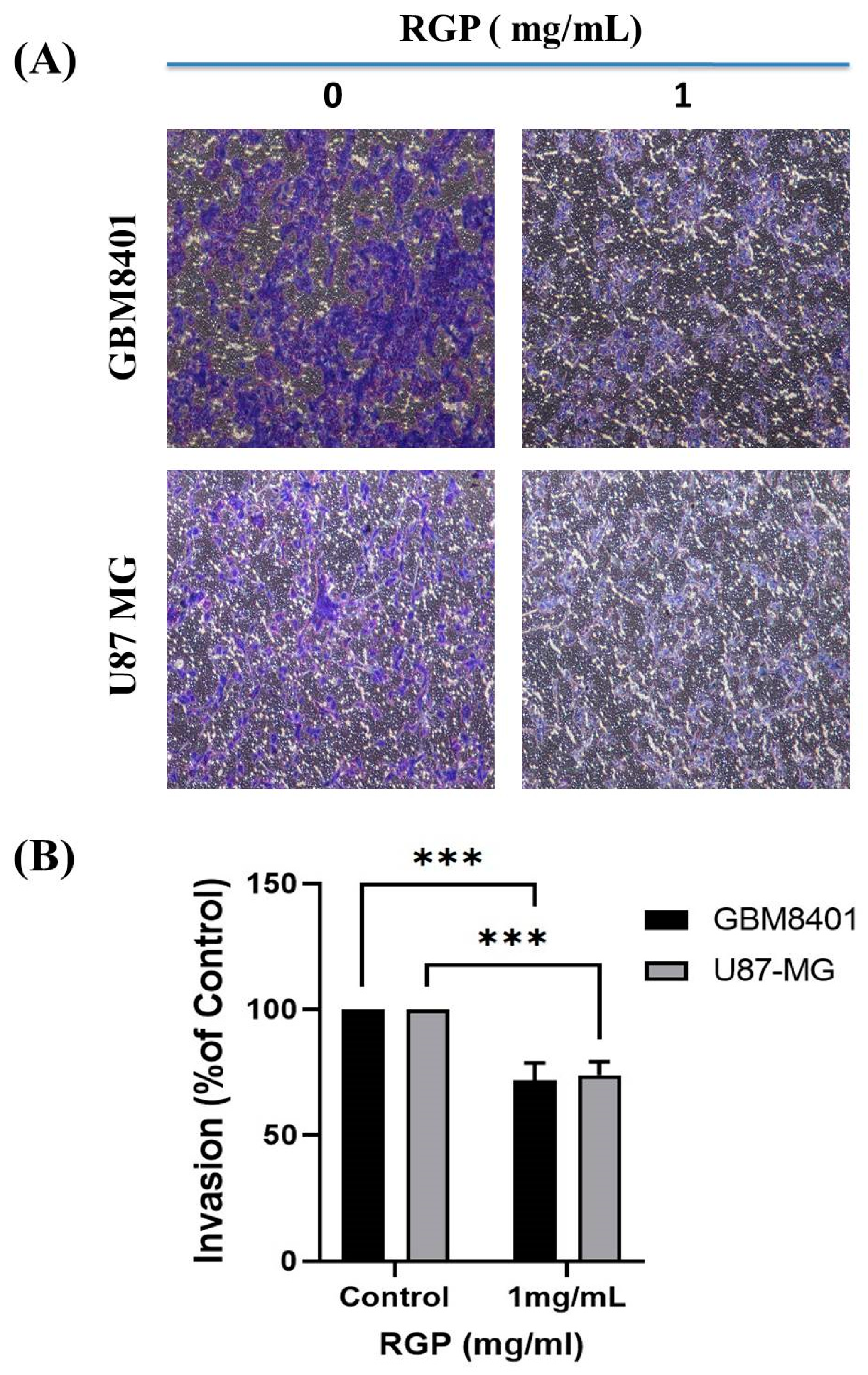 Neurolint 14 00066 g005 Neurolint 14 00066 g005