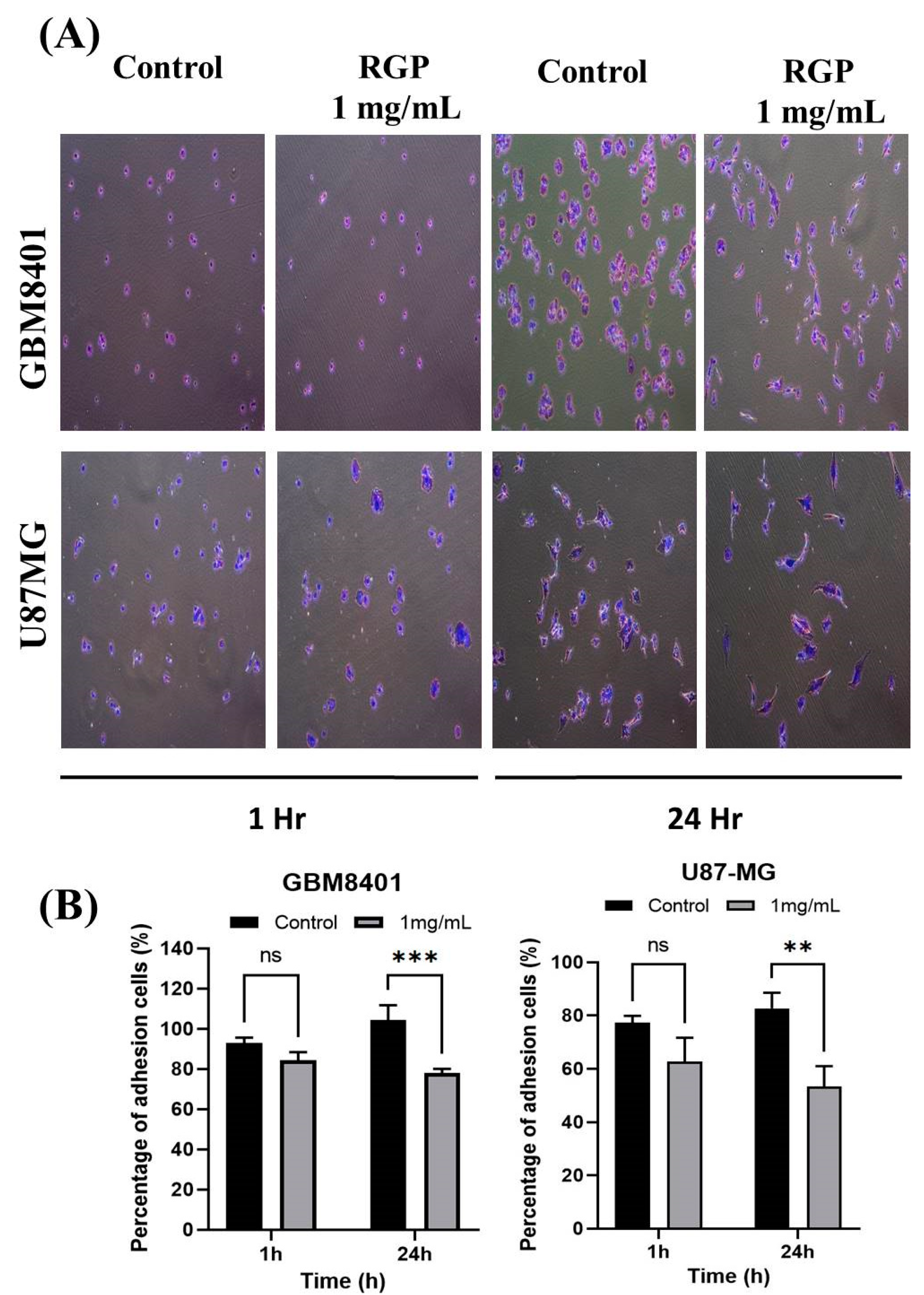 Neurolint 14 00066 g006 Neurolint 14 00066 g006