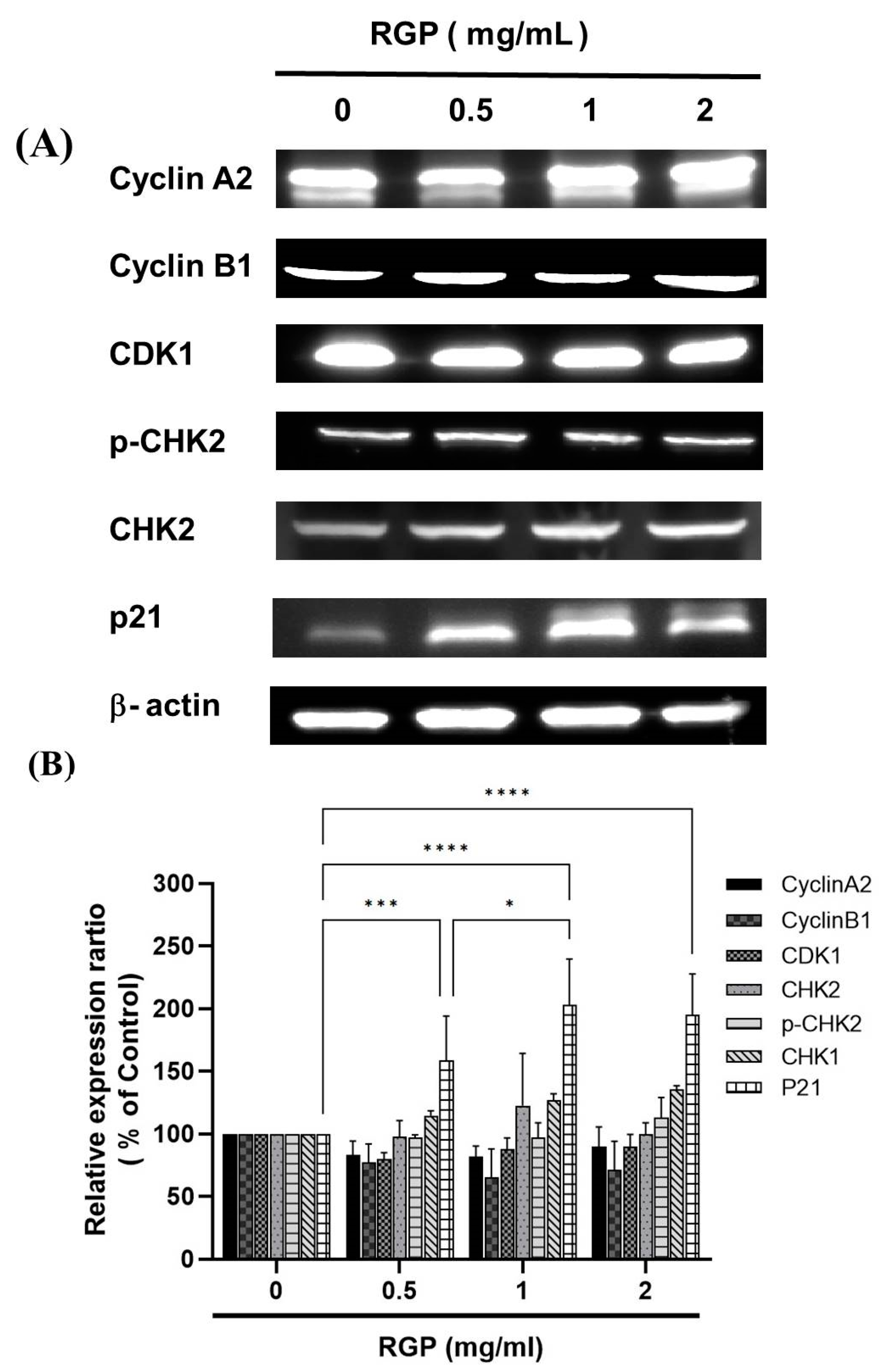Neurolint 14 00066 g009 Neurolint 14 00066 g009