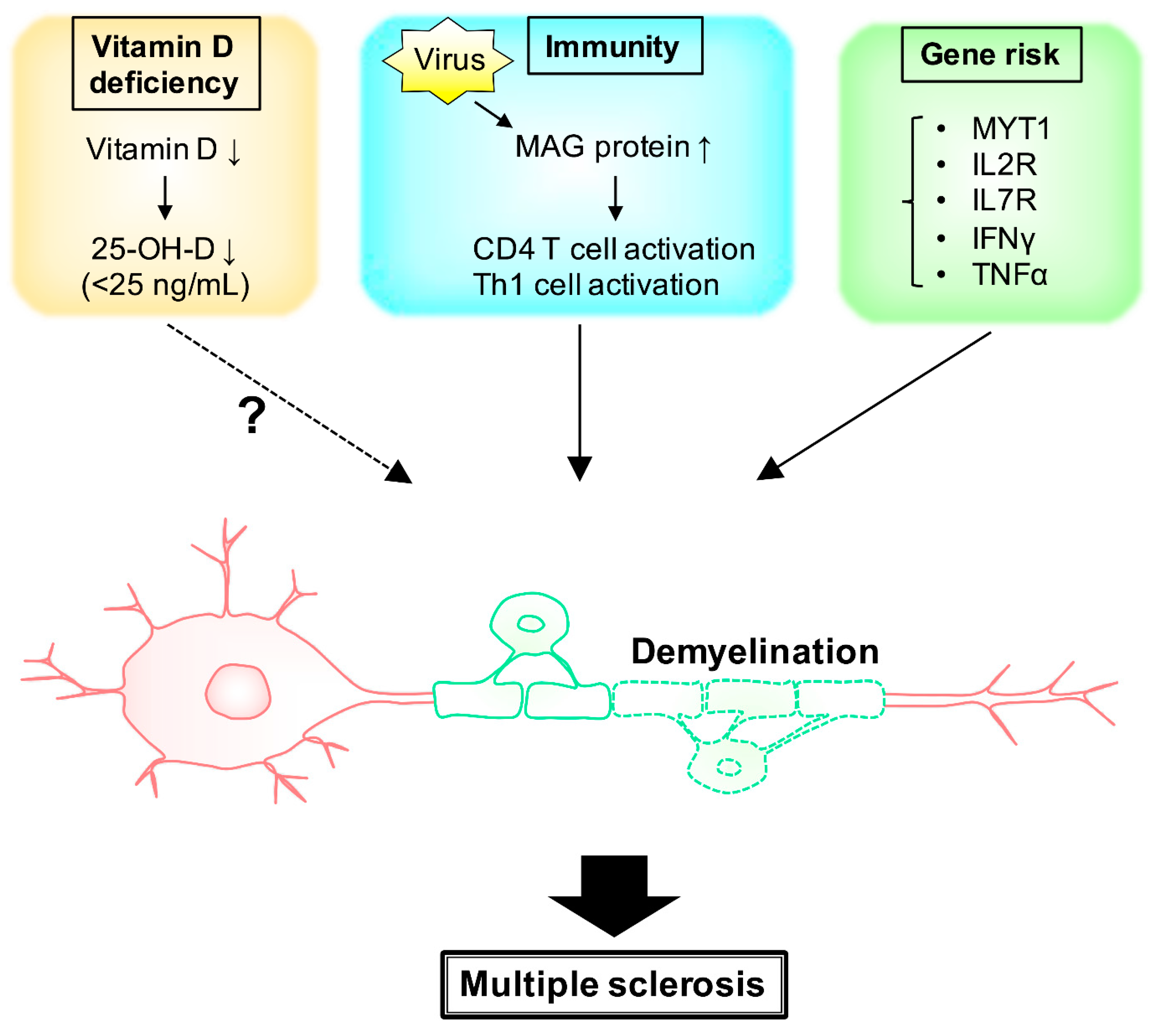 Neurology international free full text new insights into risk genes