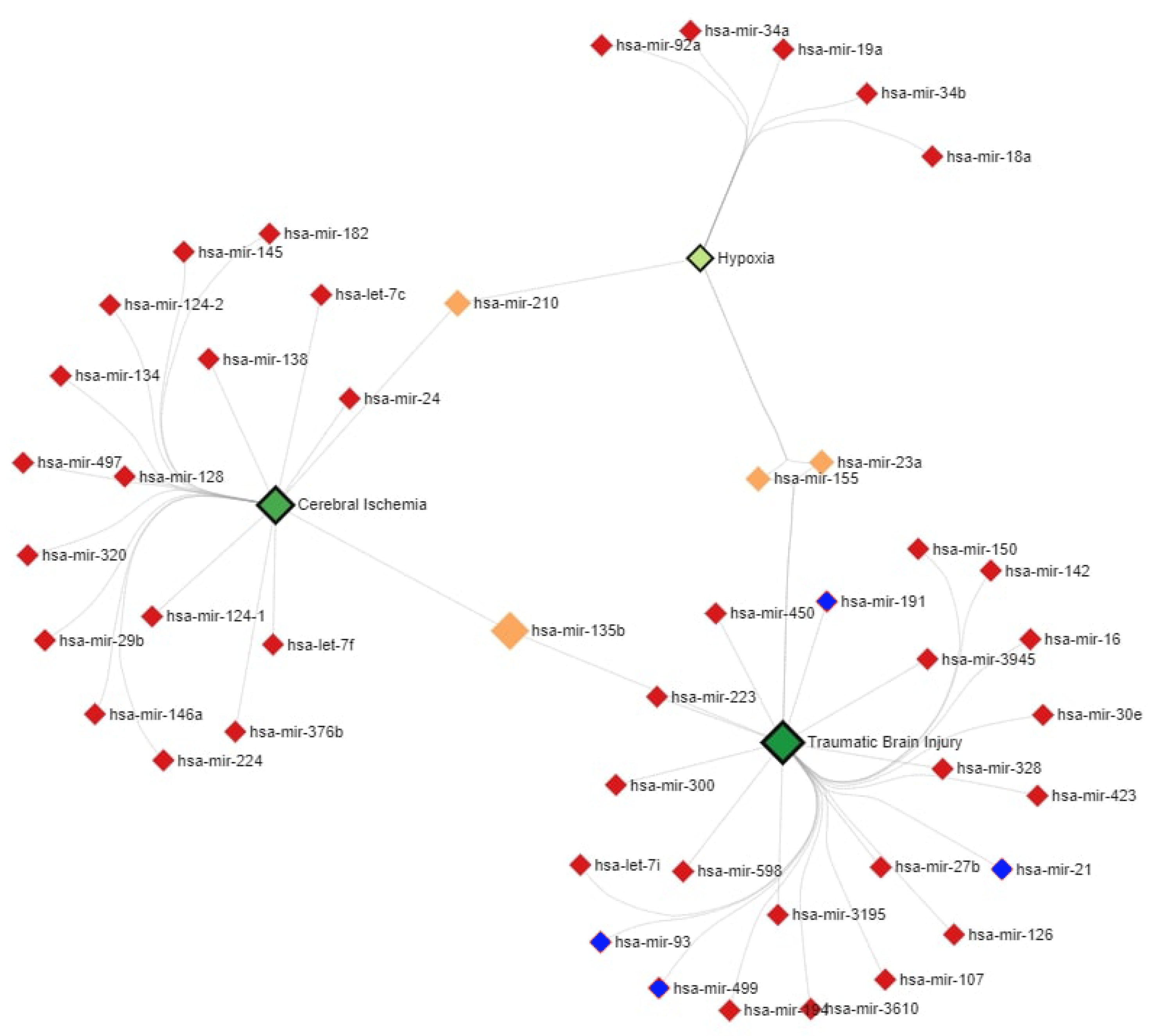 Neurolint 15 00004 g005 Neurolint 15 00004 g005