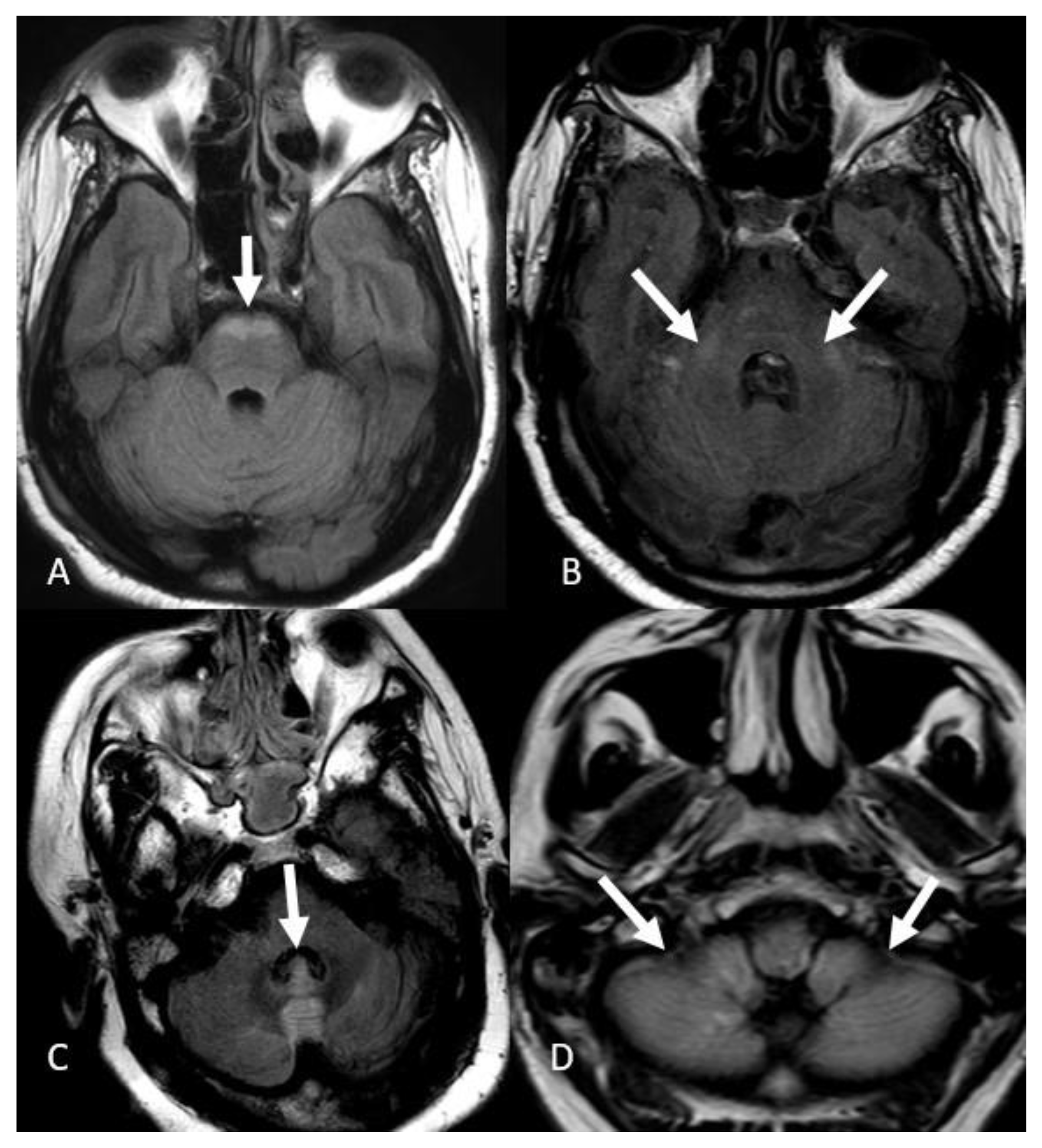 Neurolint 15 00005 g005 Neurolint 15 00005 g005