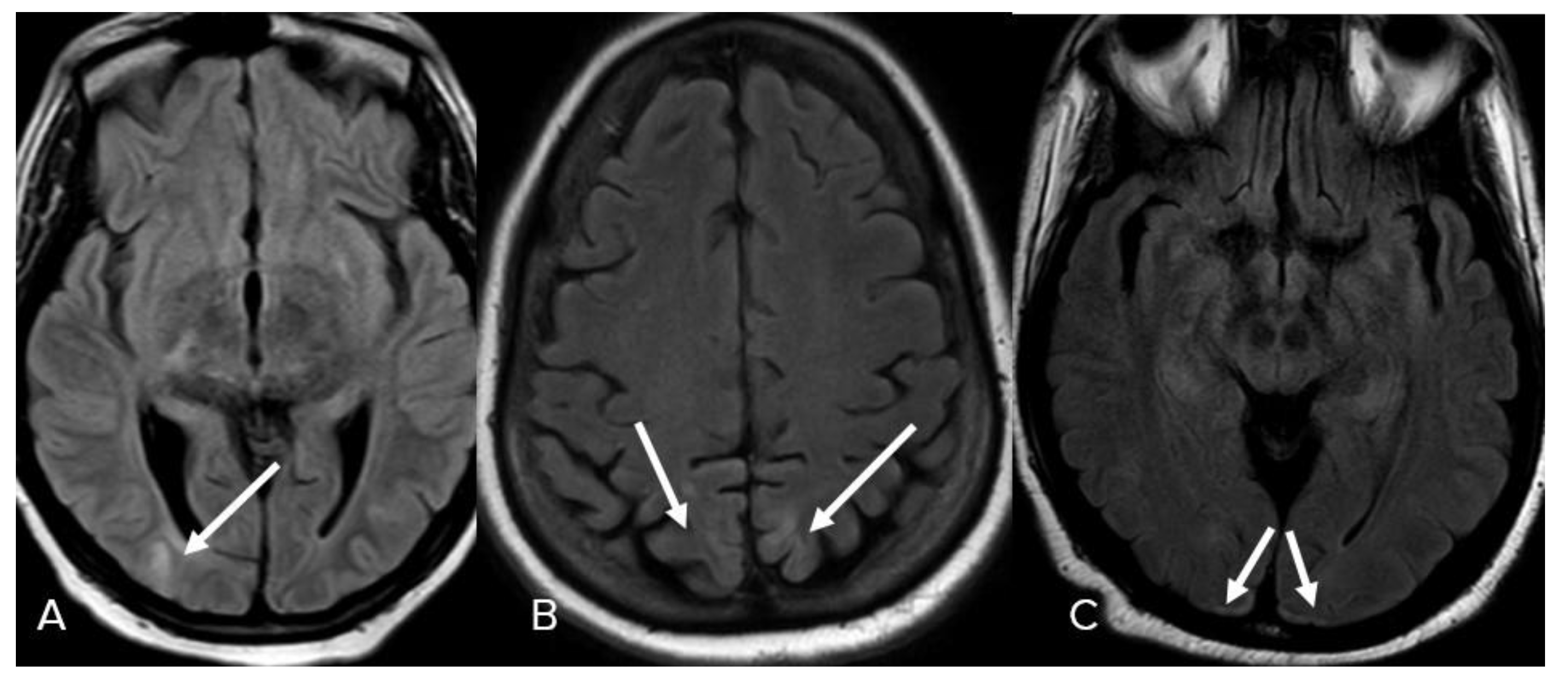 Neurolint 15 00005 g008 Neurolint 15 00005 g008