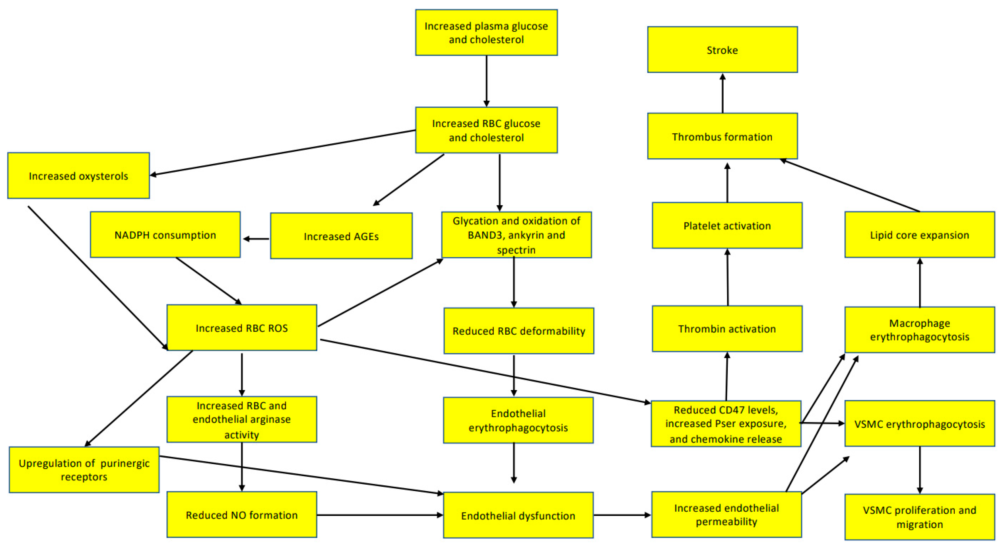 Neurolint 15 00011 g001 Neurolint 15 00011 g001