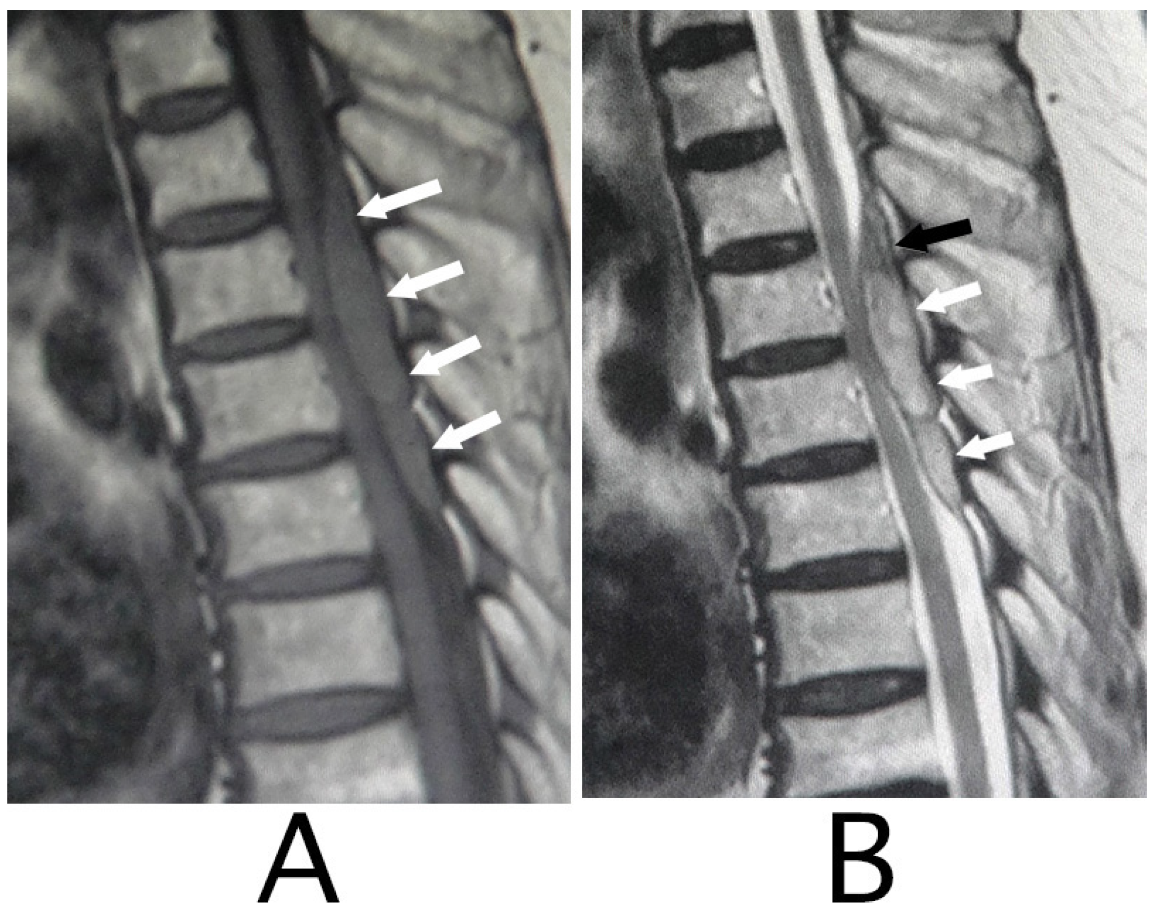 Neurolint 15 00024 g001
