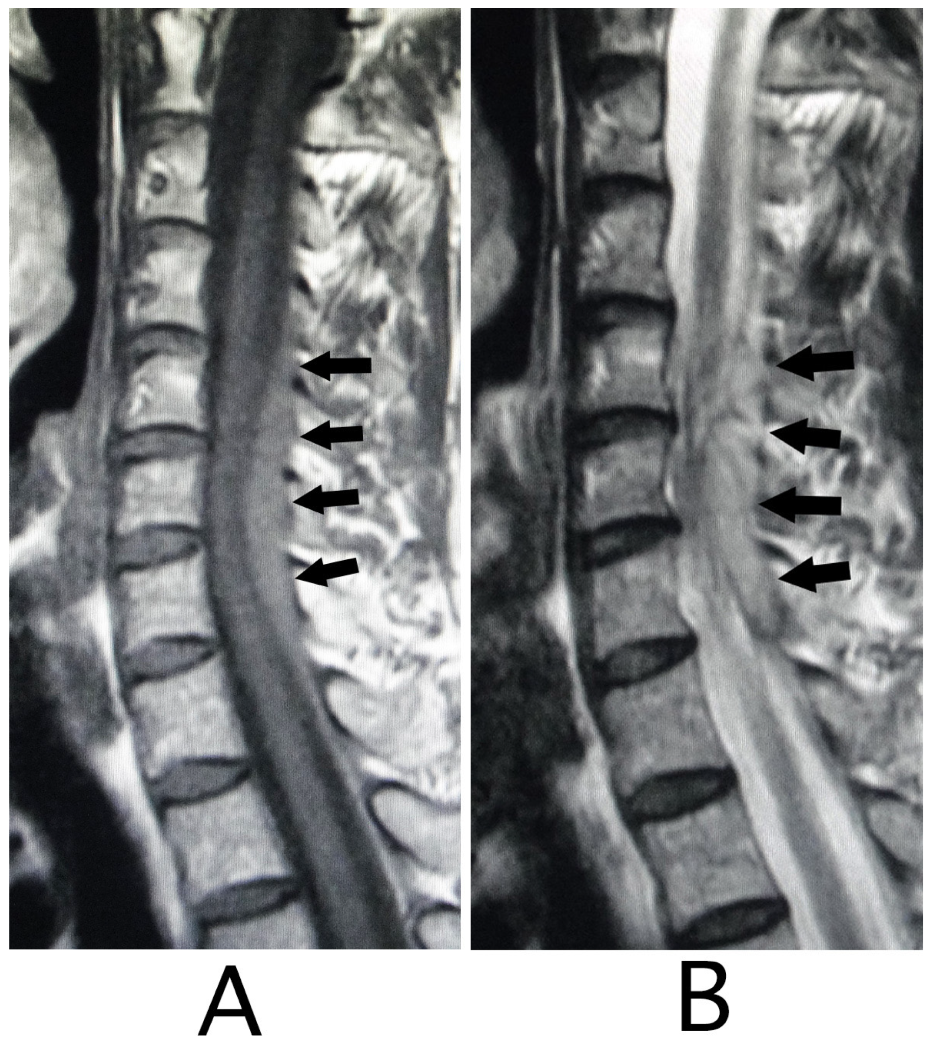 Neurolint 15 00024 g004