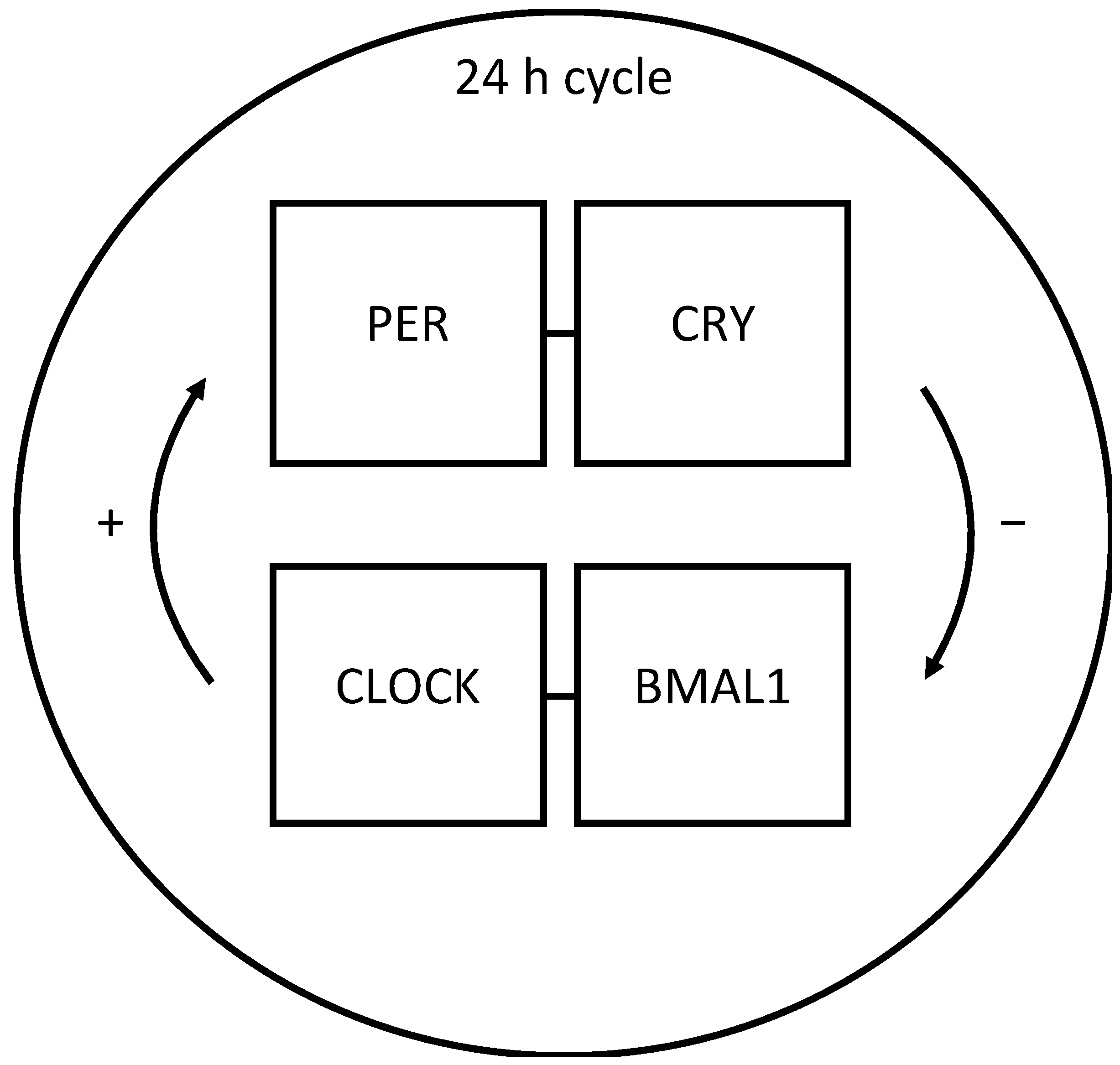 Neurolint 15 00029 g001 Neurolint 15 00029 g001