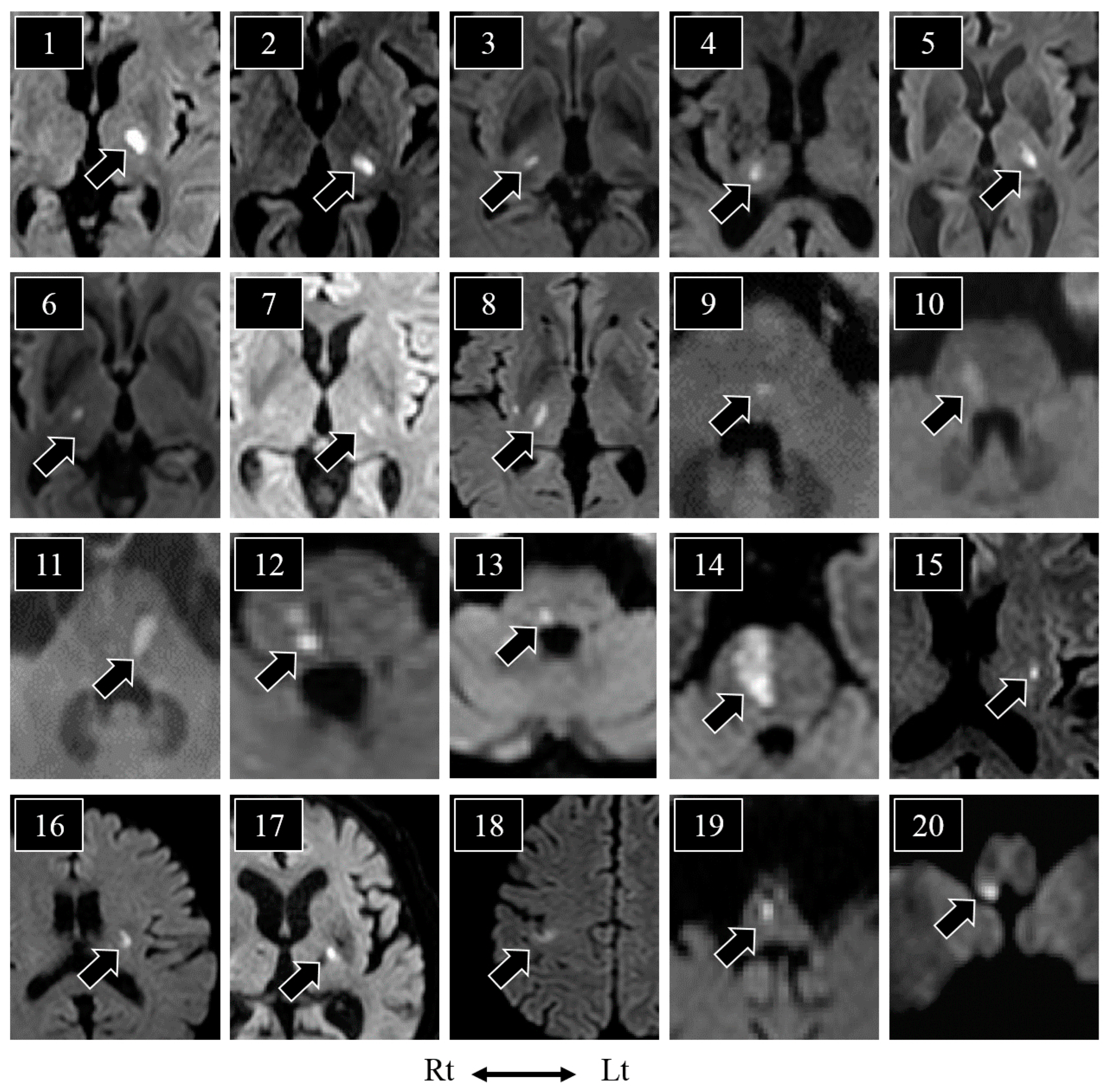 Neurolint 15 00030 g002
