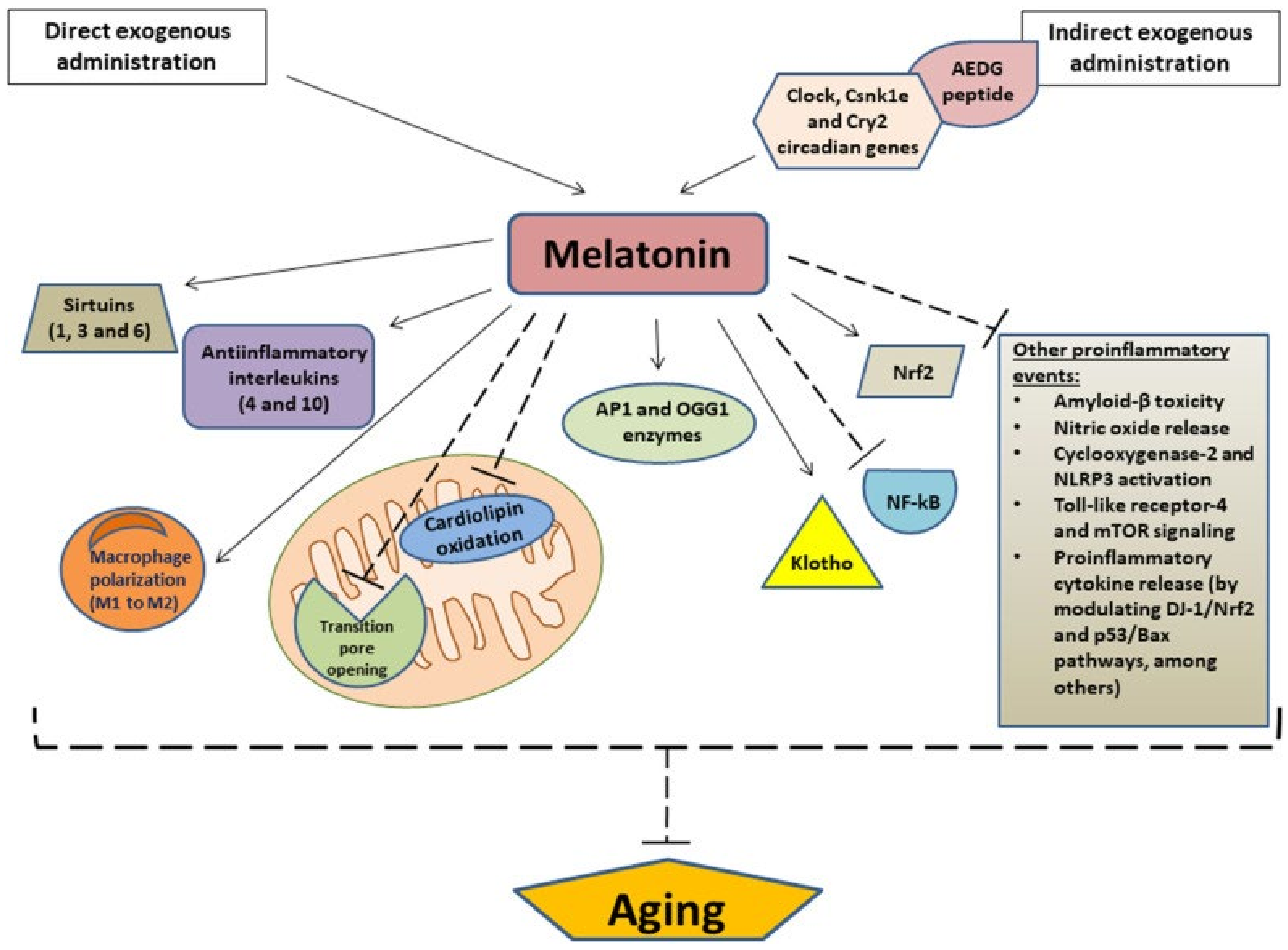 Melatonin Usage and Considerations Encyclopedia MDPI