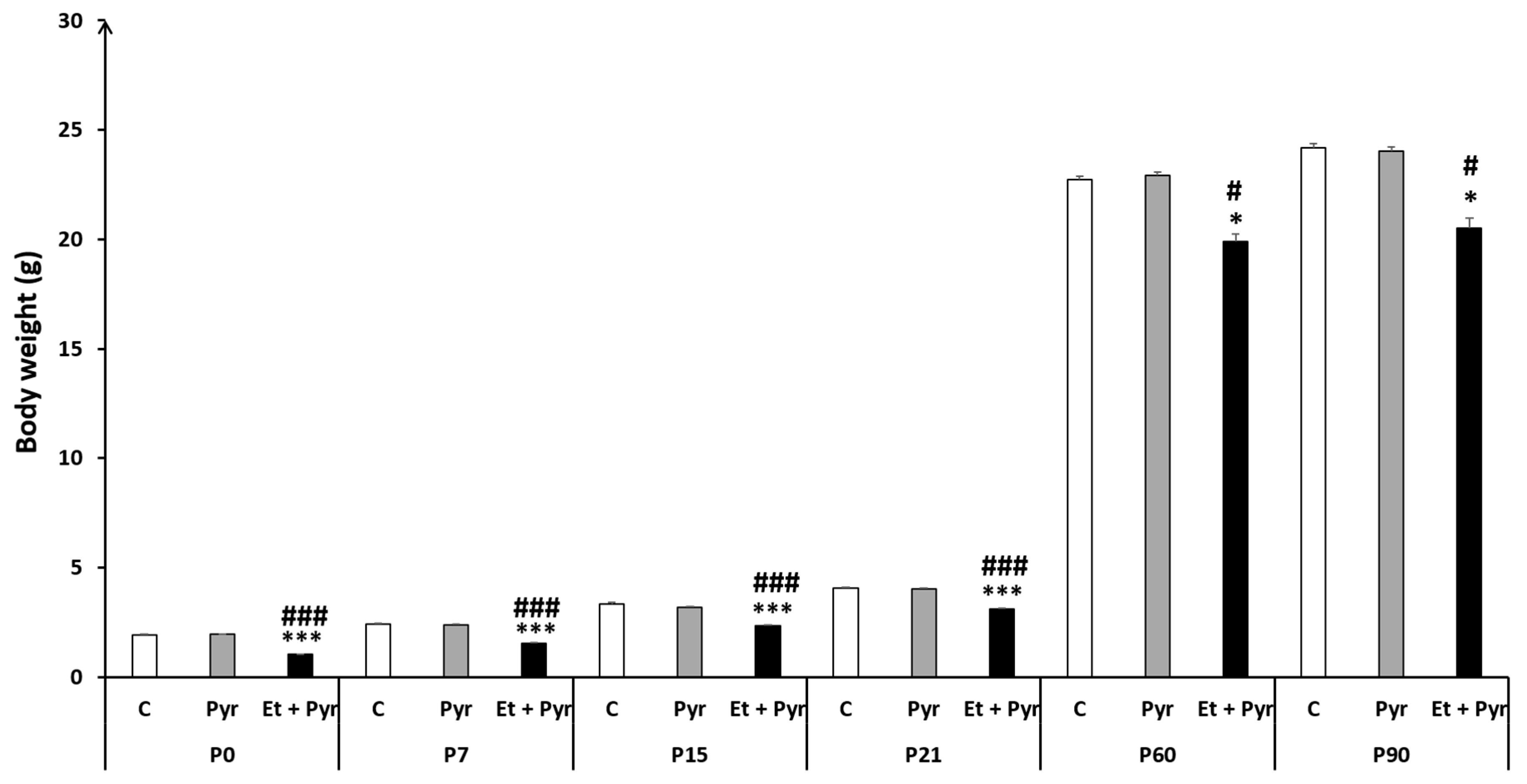 Neurolint 15 00036 g002