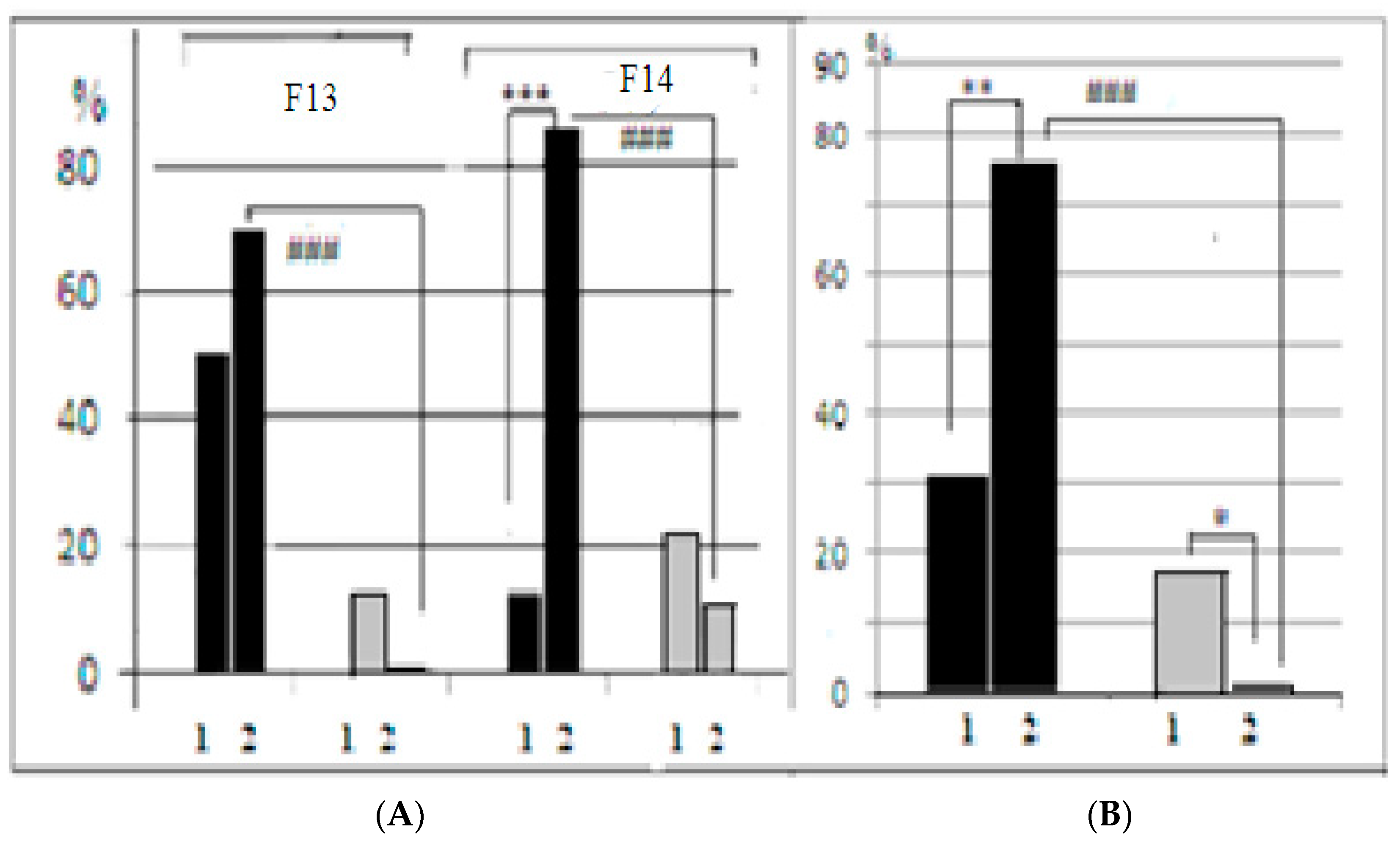 Neurolint 15 00041 g004